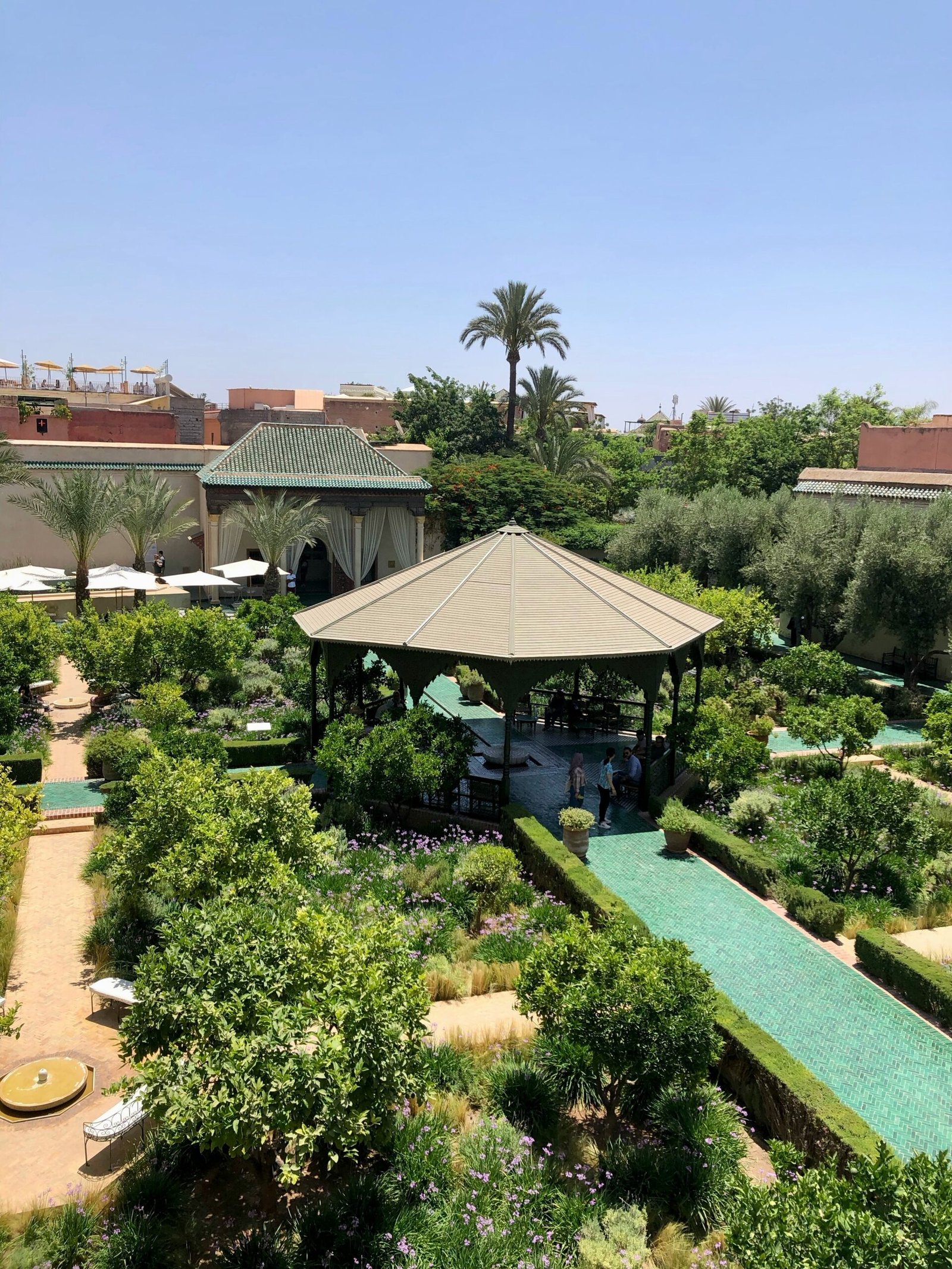 tranquil riad pool in marrakech with palms and warm may light
