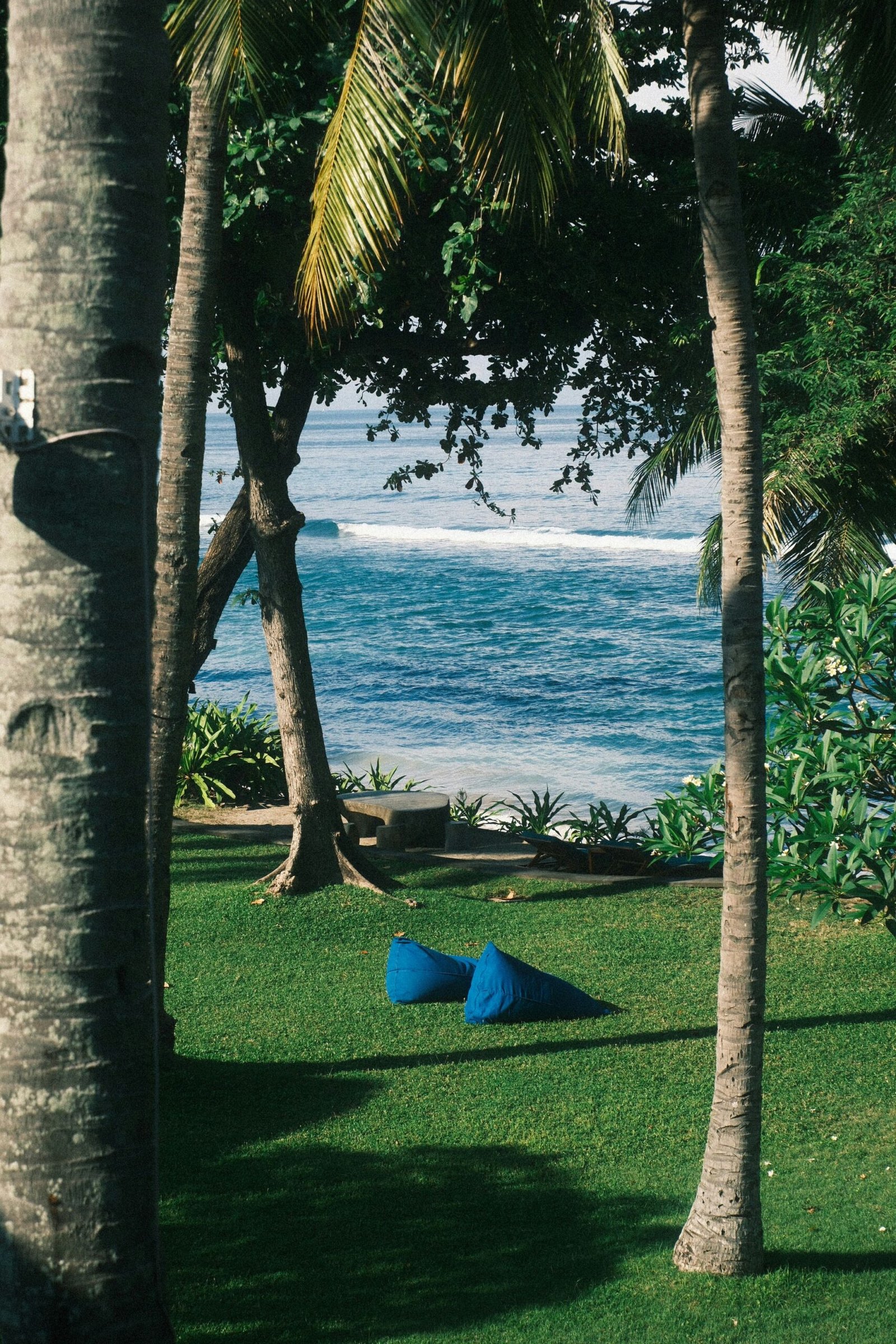 A luxury tropical resort lawn with bean bags and palm trees overlooking the ocean, demonstrating how high-end amenities and beachfront access contribute to yoga retreat costs.