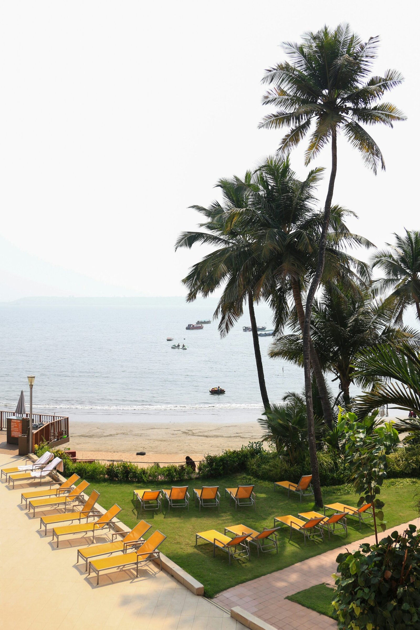 Palm-lined Goa beach retreat setting that fits a gentle winter detox focused on warmth and relaxation.