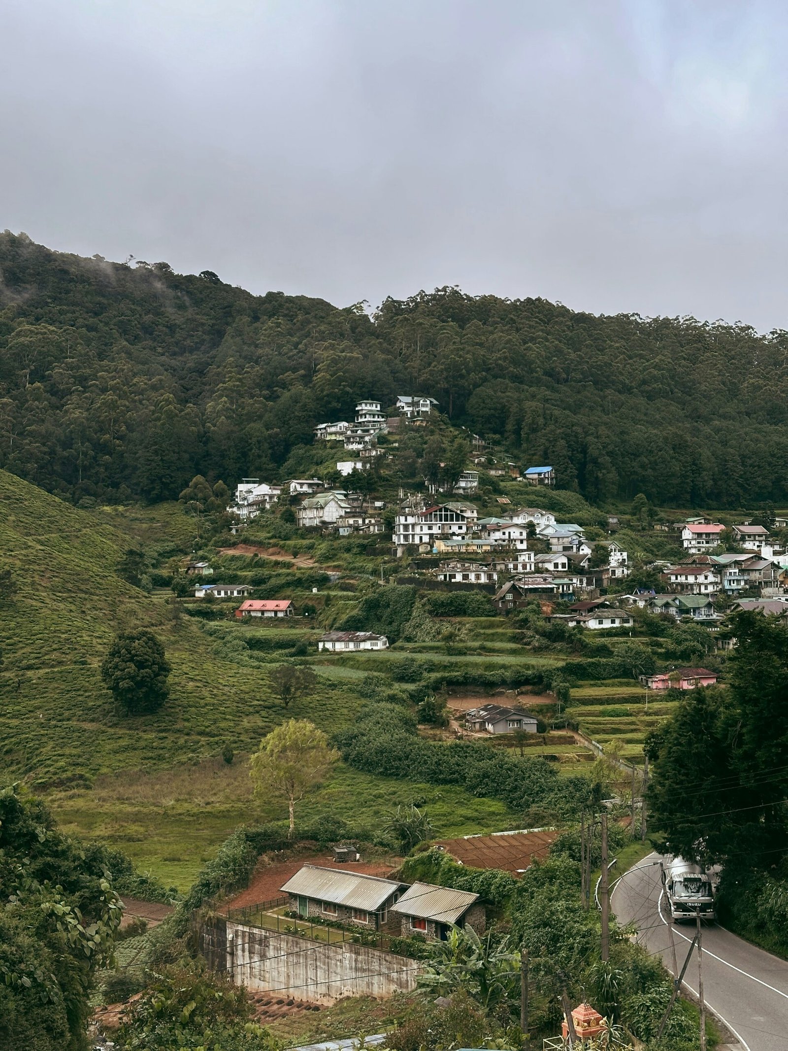 Hillside view in Nuwara Eliya, Sri Lanka, capturing the cooler and more balanced atmosphere of a hill-country yoga retreat in summer.