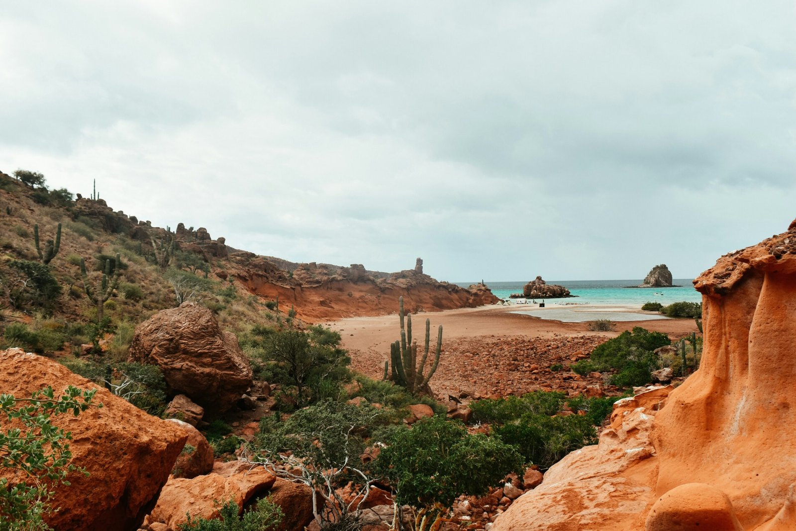 Rocky beach on Isla Espíritu Santo in Baja California Sur with cactus-covered terrain and calm coastal scenery.