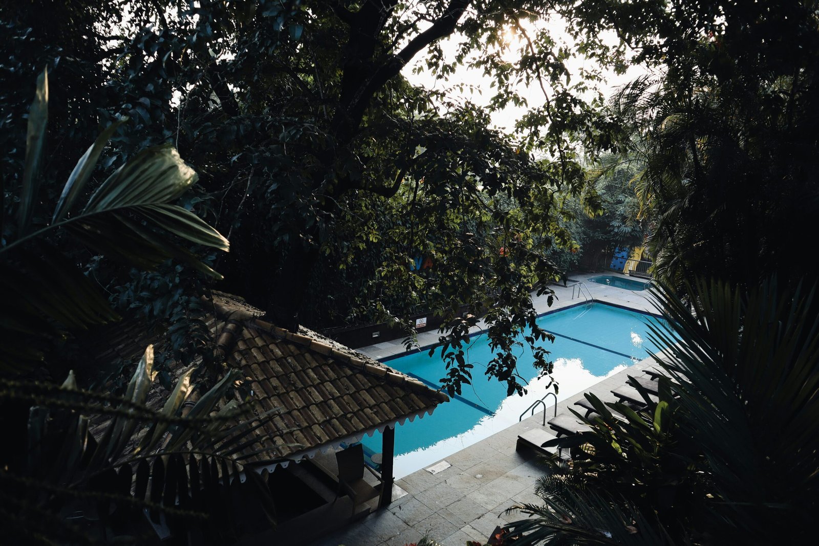 Peaceful resort pool framed by greenery for a cooling early-summer wellness retreat setting.