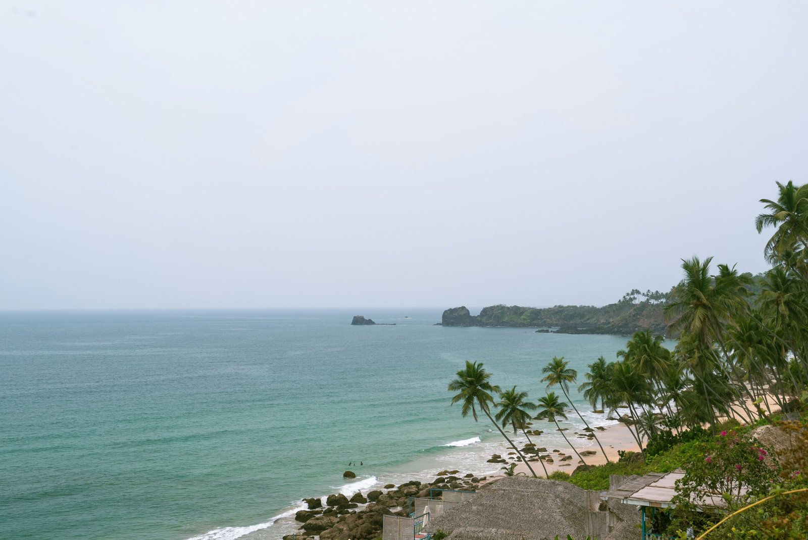 Palm-lined beach in Goa with a calm shoreline suited to a soothing February Ayurveda retreat