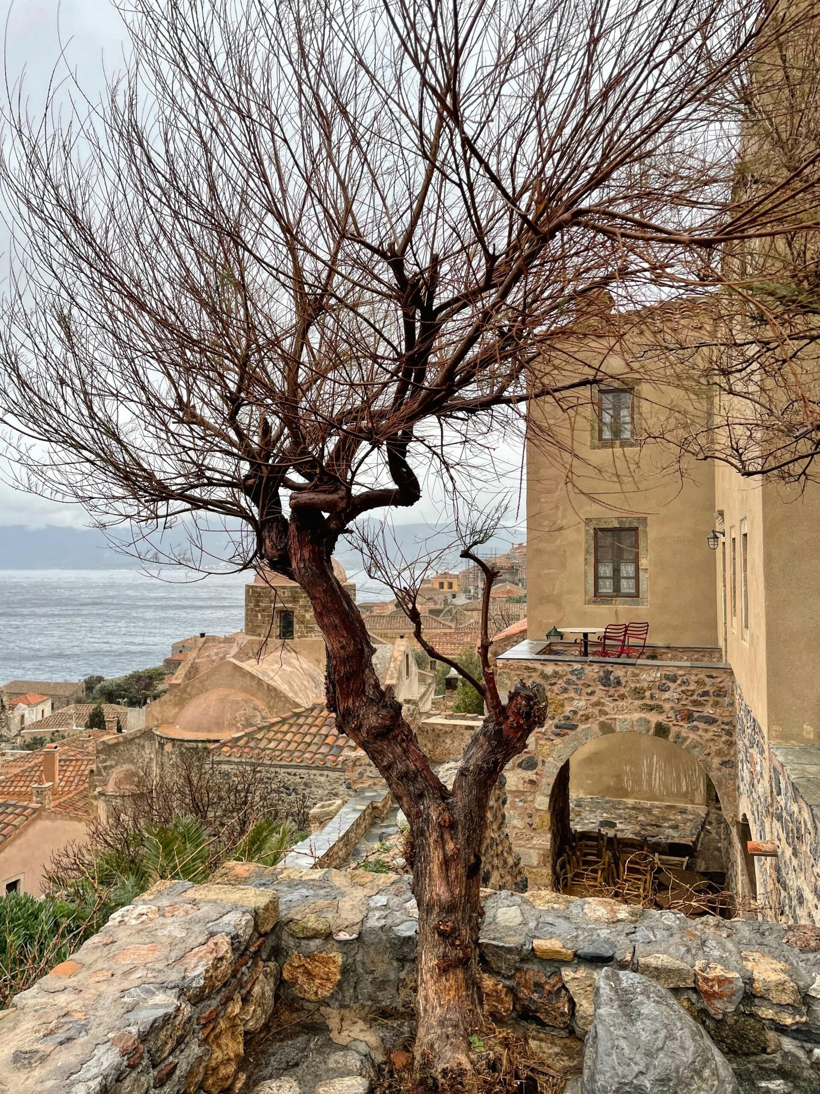 yoga retreats in naxos paros and the cyclades