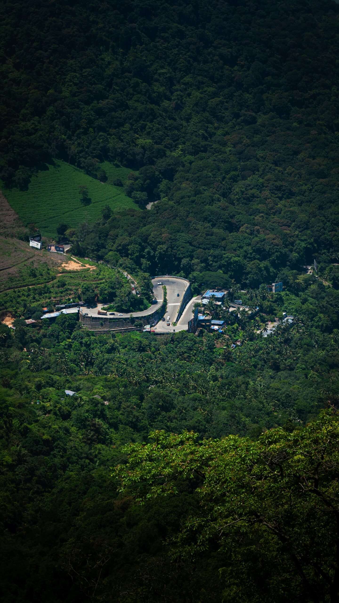 Winding forest road in Wayanad surrounded by dense greenery, reflecting the inward and nature-rich mood of a late-monsoon retreat.