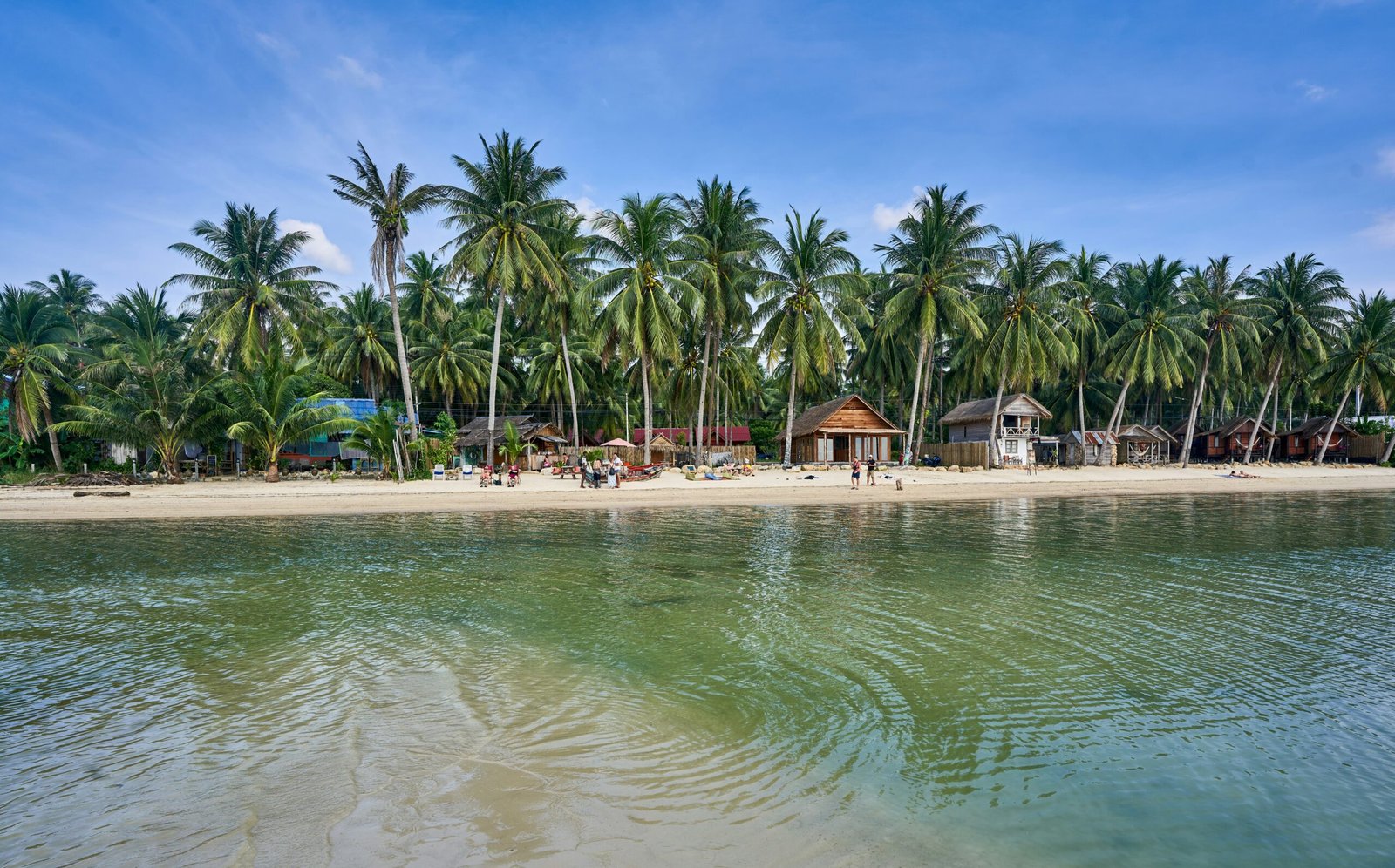 quiet palm-lined beach on koh phangan with clear water and retreat calm