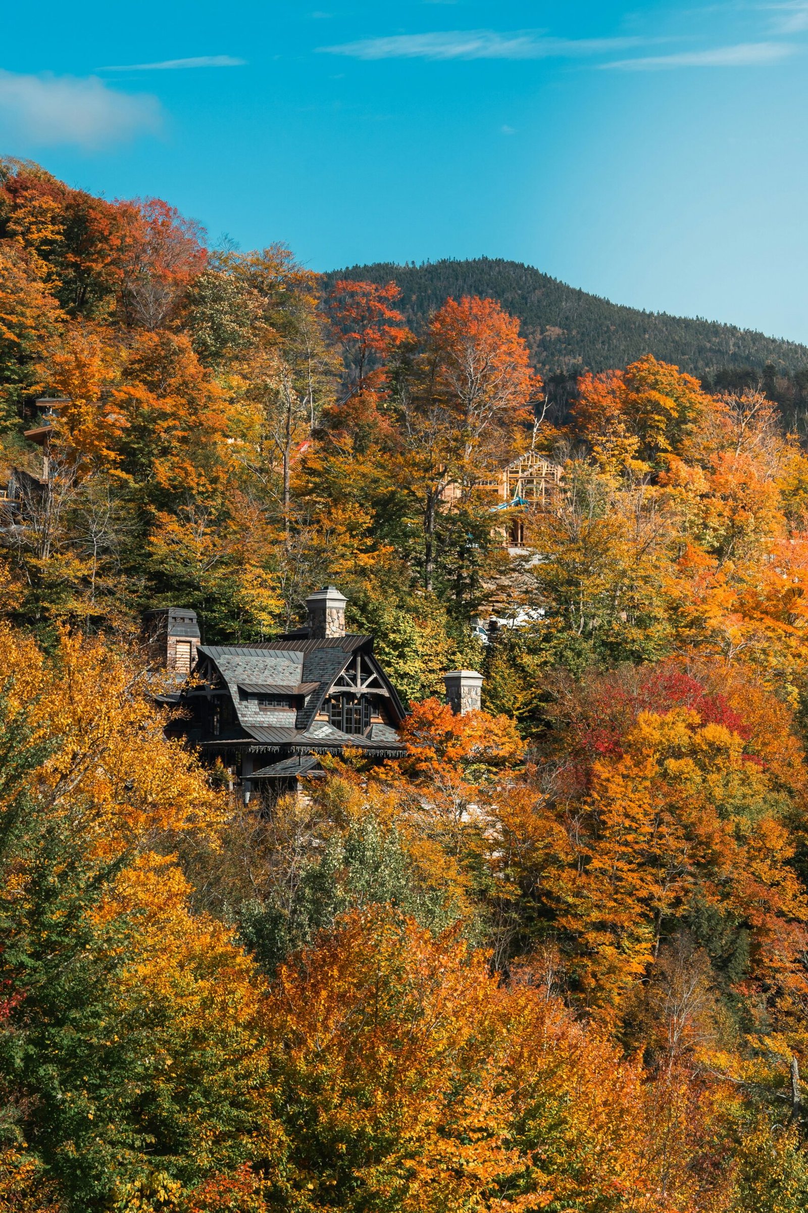 Forest cabin surrounded by autumn trees for a grounding retreat focused on quiet, warmth, and seasonal reset