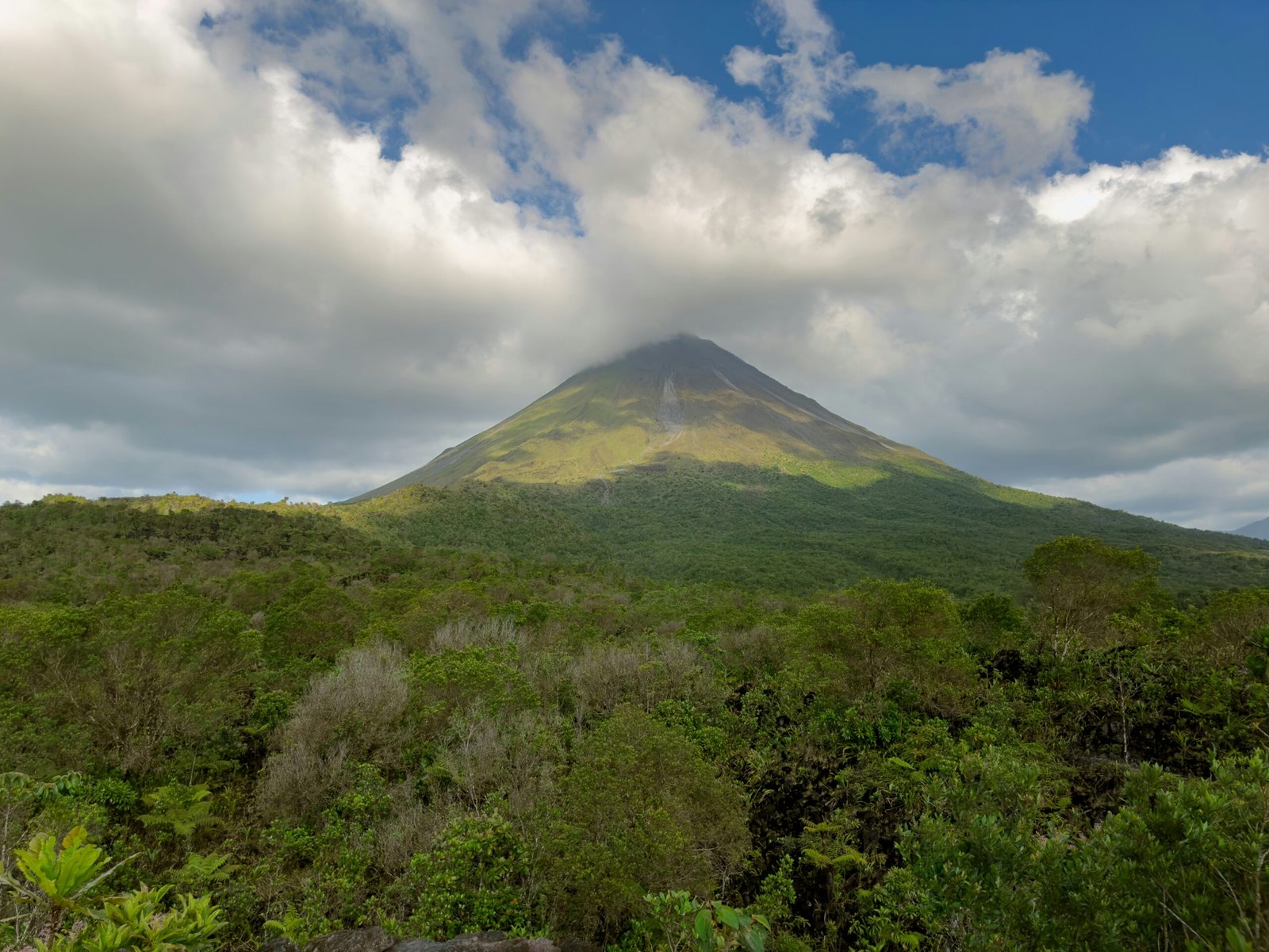 Arenal Volcano rising above lush green forest in San Carlos, Costa Rica