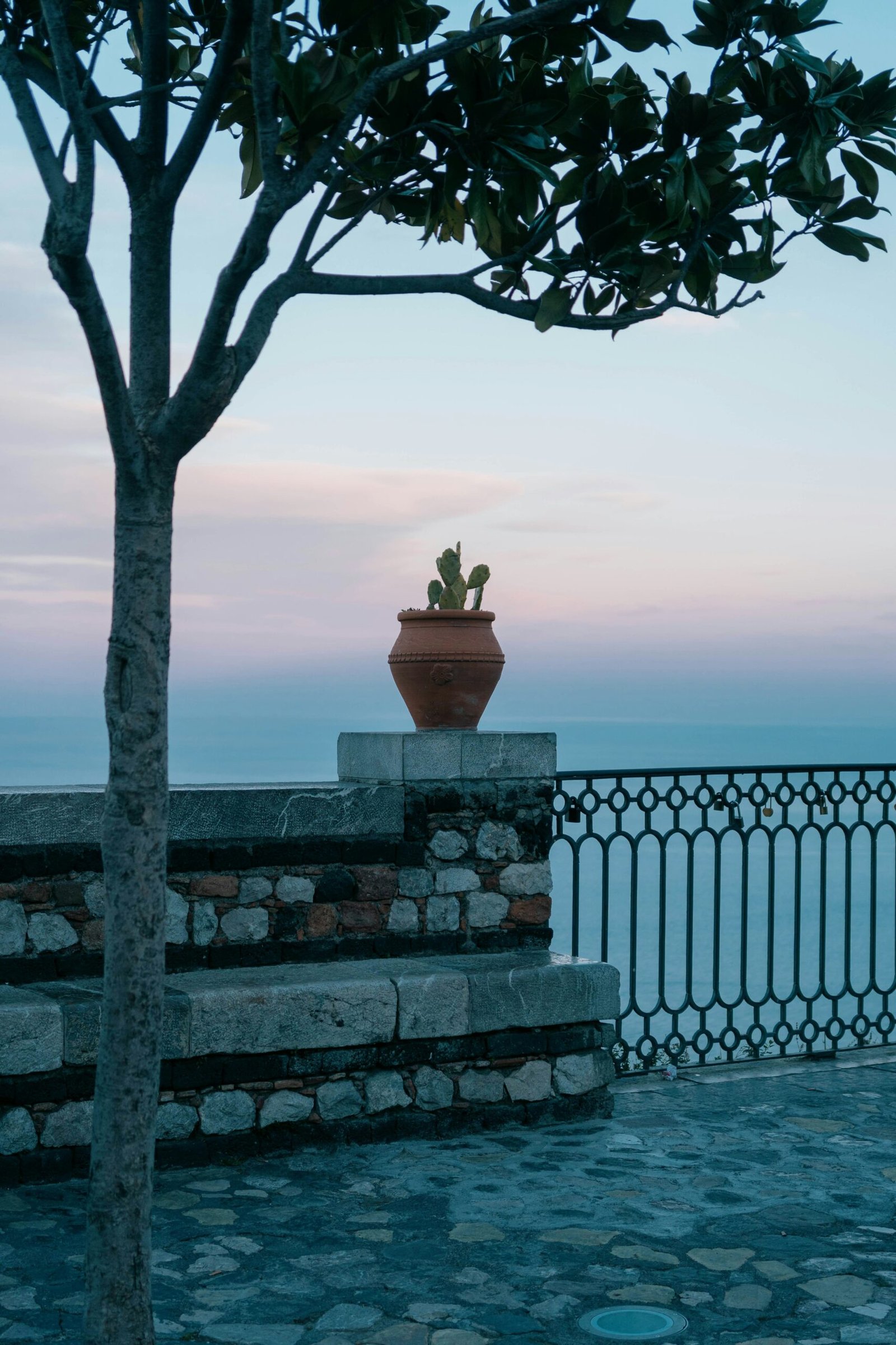 A large terracotta pot with a tall cactus in a lush public garden in Taormina, Sicily, overlooking a panoramic coastal view, serving as inspiration for a Mediterranean-style summer wellness retreat.
