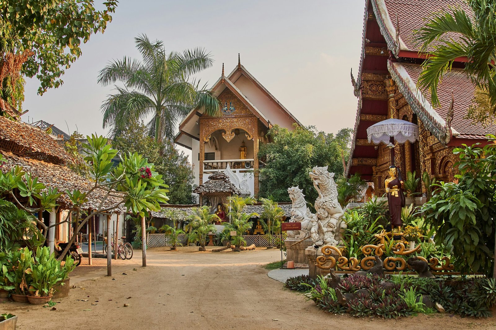 Private retreat house nestled among green trees for a secluded detox stay in a peaceful natural setting