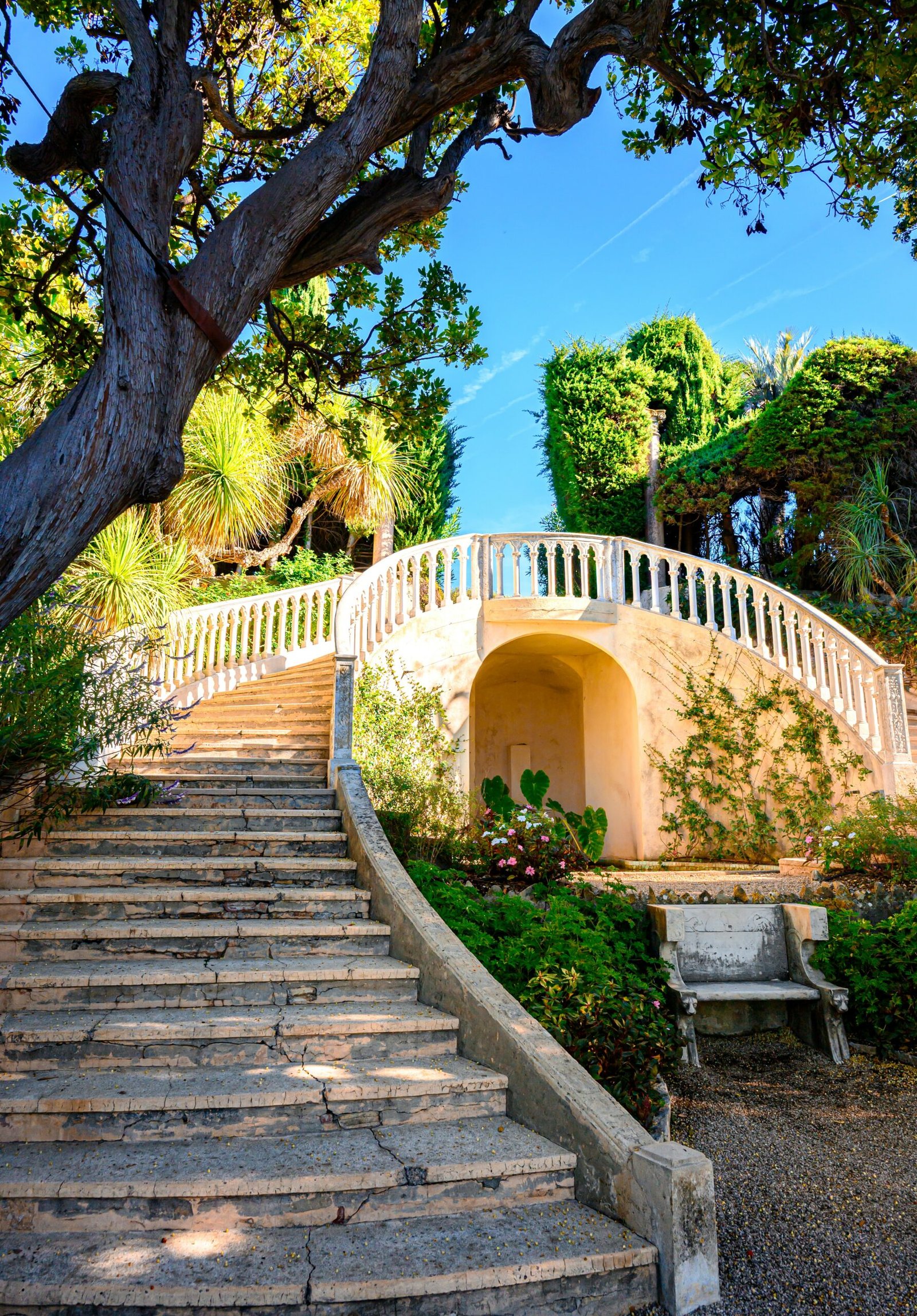 Stone terrace garden on the French Riviera with lush greenery and an elegant coastal feel.