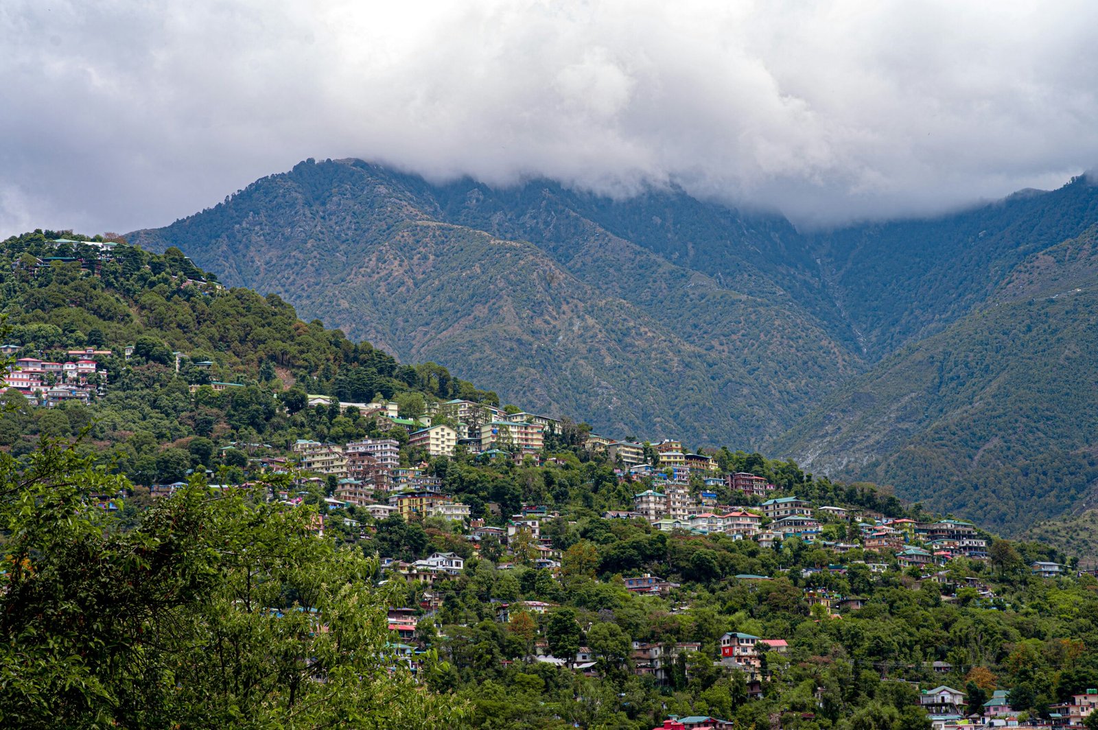 Dharamshala tucked into the Himalayan foothills, ideal for the cooler mountain side of a summer yoga retreat in India
