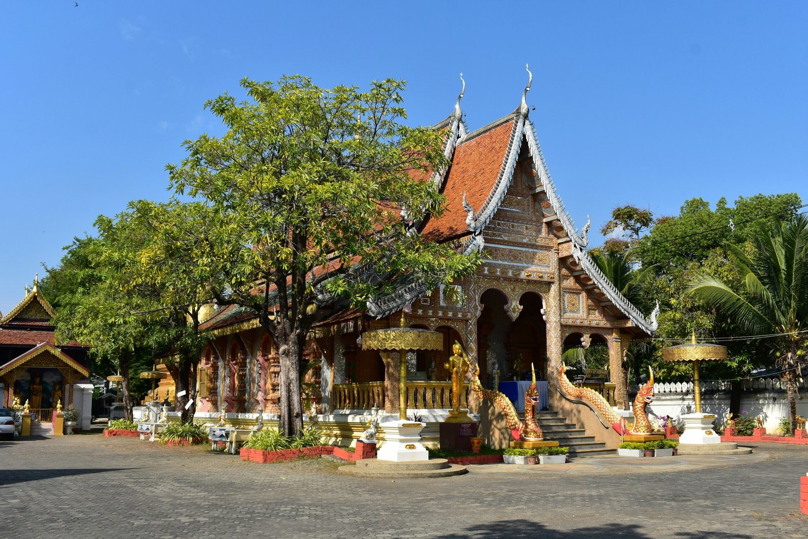 peaceful temple building in chiang mai surrounded by trees and soft seasonal light