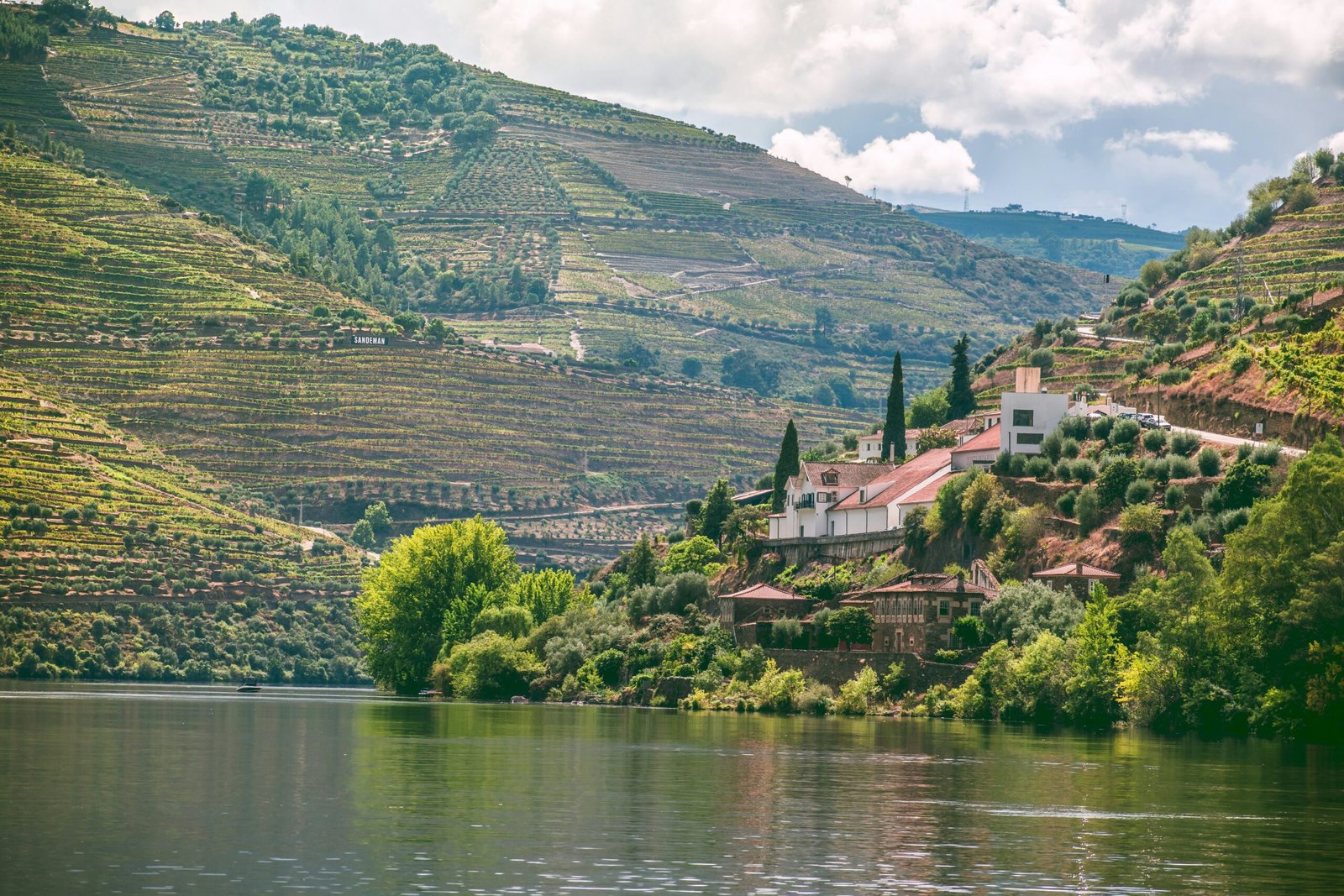 The lush, terraced vineyards of the Douro Valley riverbanks in Portugal, representing the serene and sophisticated backdrop for a luxury yoga and wine retreat.