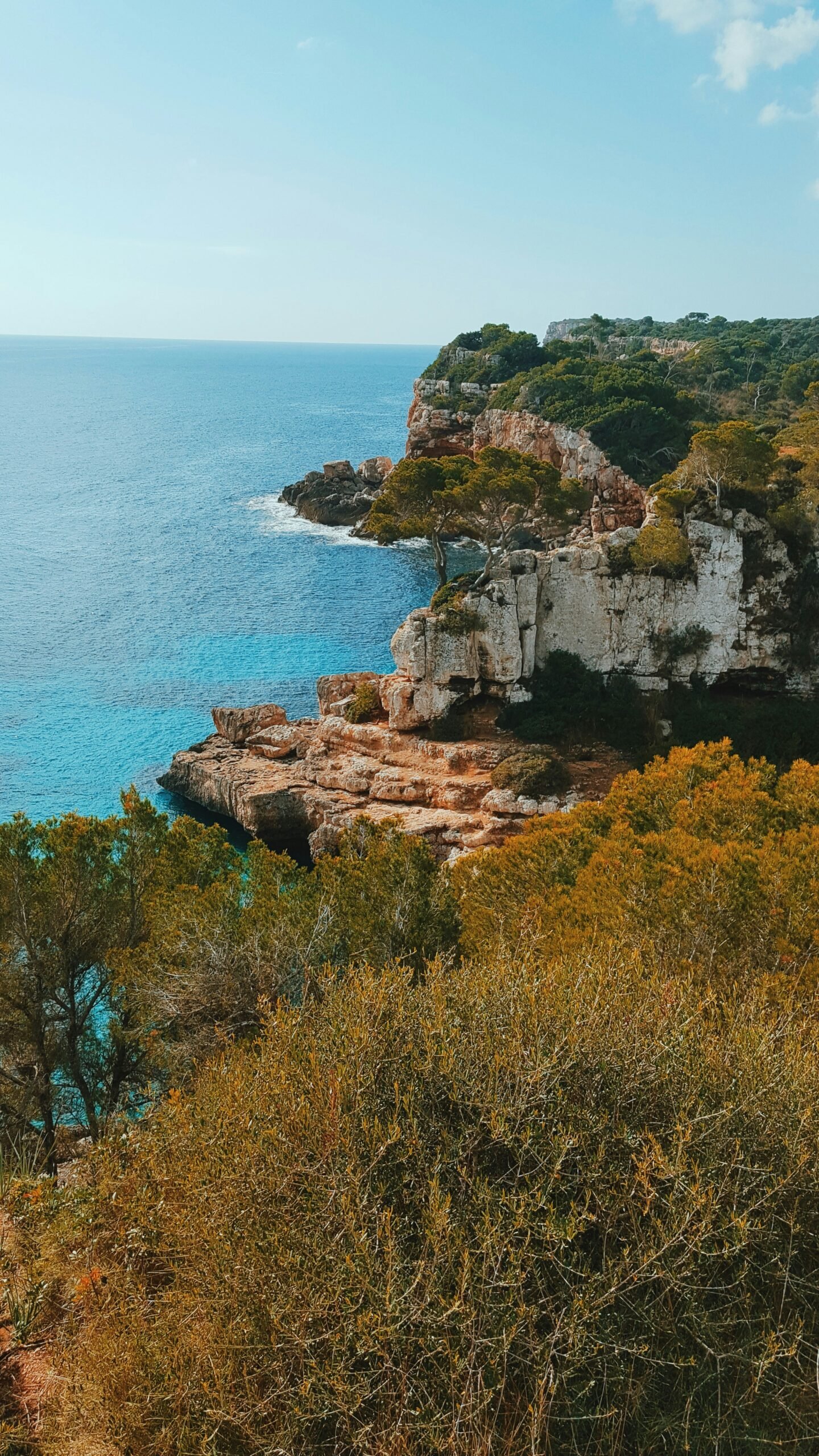 View over the sea in Mallorca, Spain, framed by a green tree in the foreground.