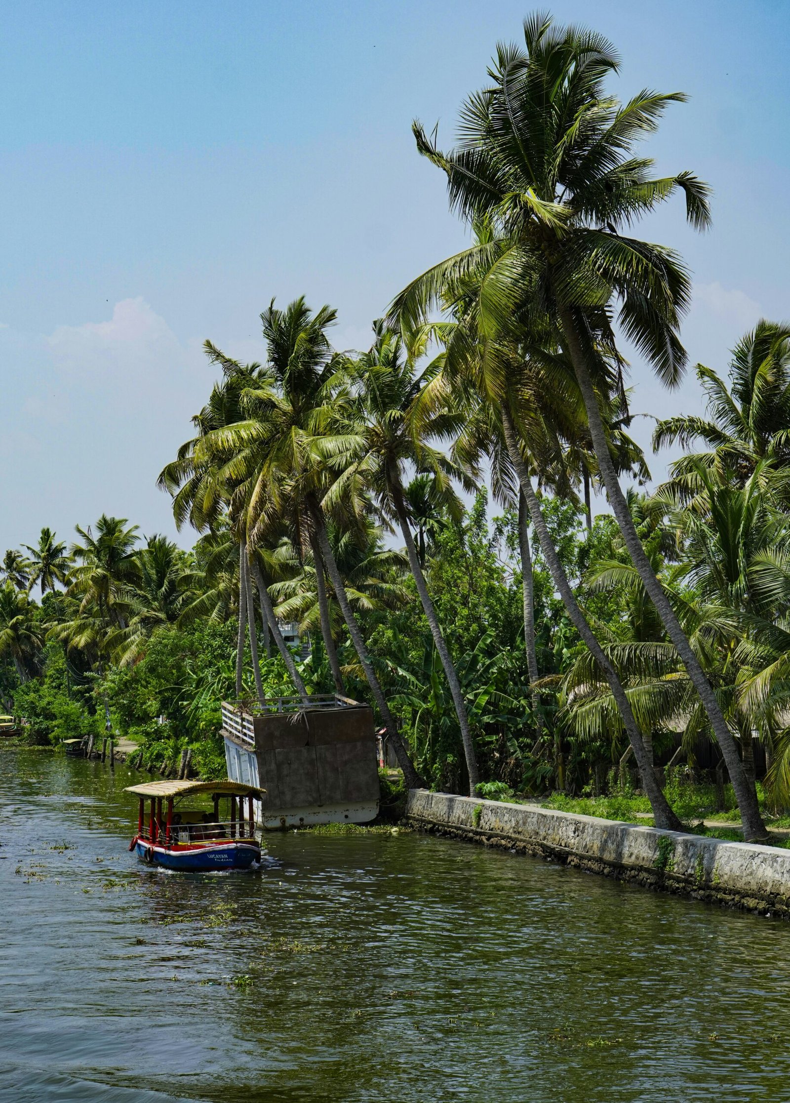 Small boat moving through the Alappuzha backwaters, capturing the restorative pace of a Kerala retreat during India’s winter season.