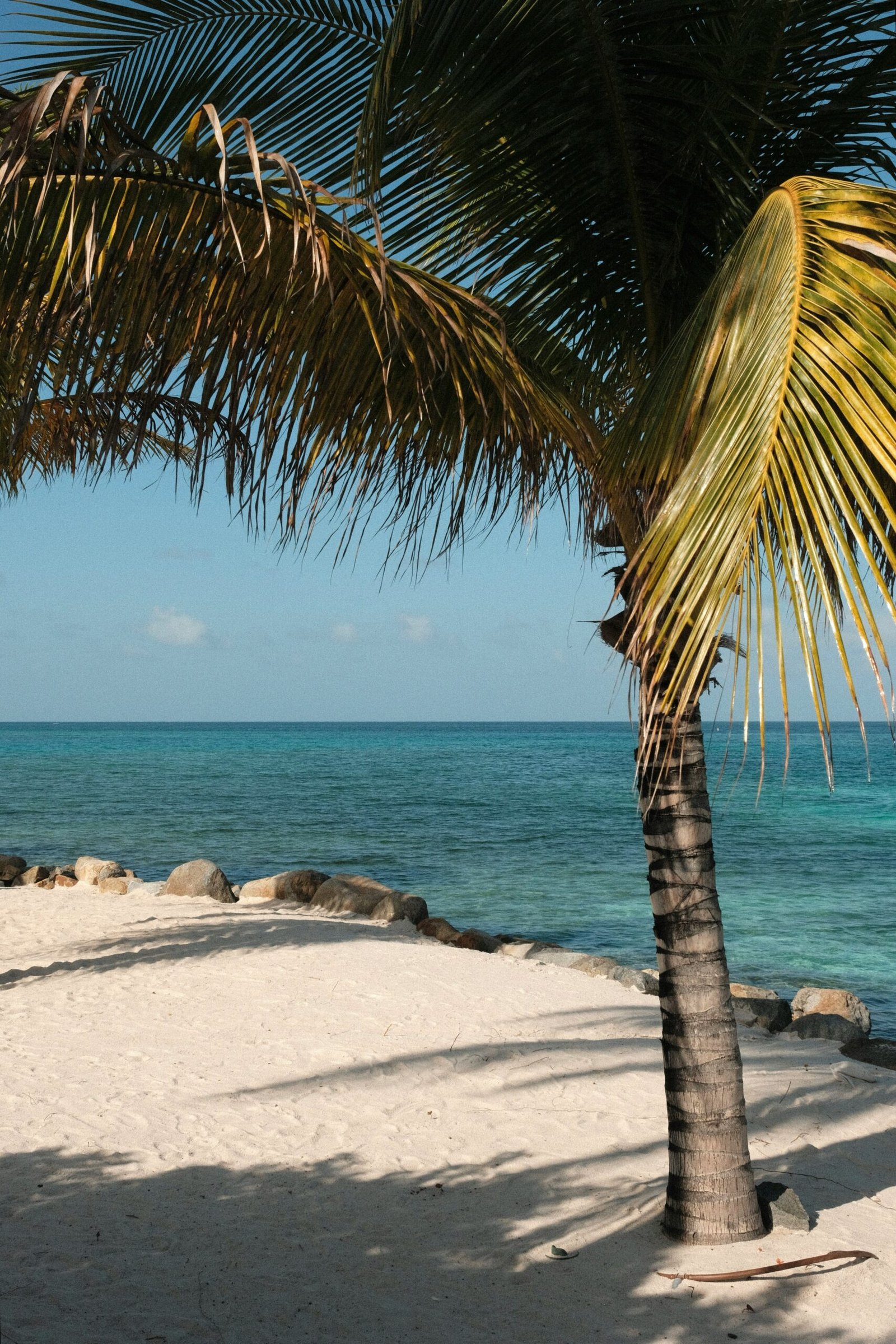 Palm-lined beach in Tulum with calm Caribbean water and a quiet shoulder-season atmosphere