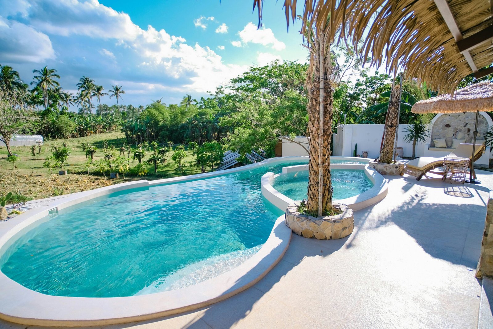 Tropical resort with an infinity pool and palm trees, capturing a sunny luxury wellness getaway.