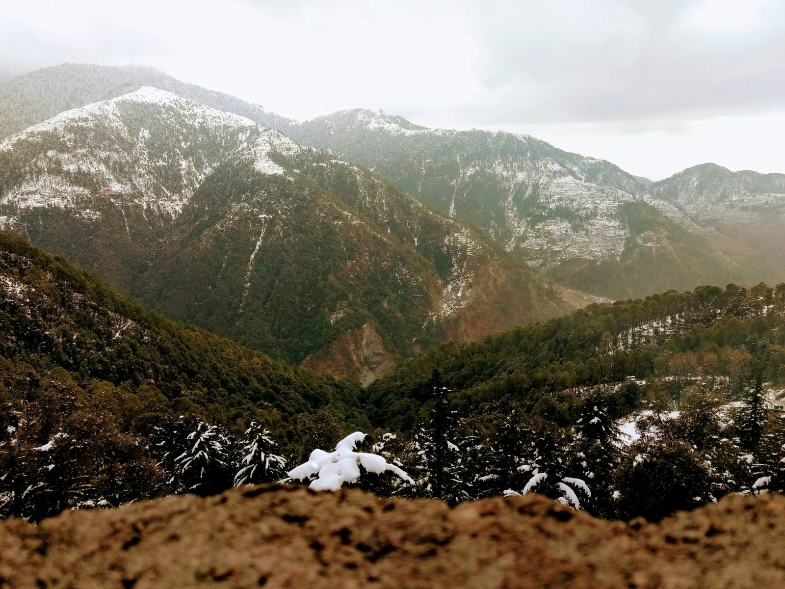 Mountain landscape near Dharamshala, suited to the crisp Himalayan side of a post-monsoon yoga retreat in India.