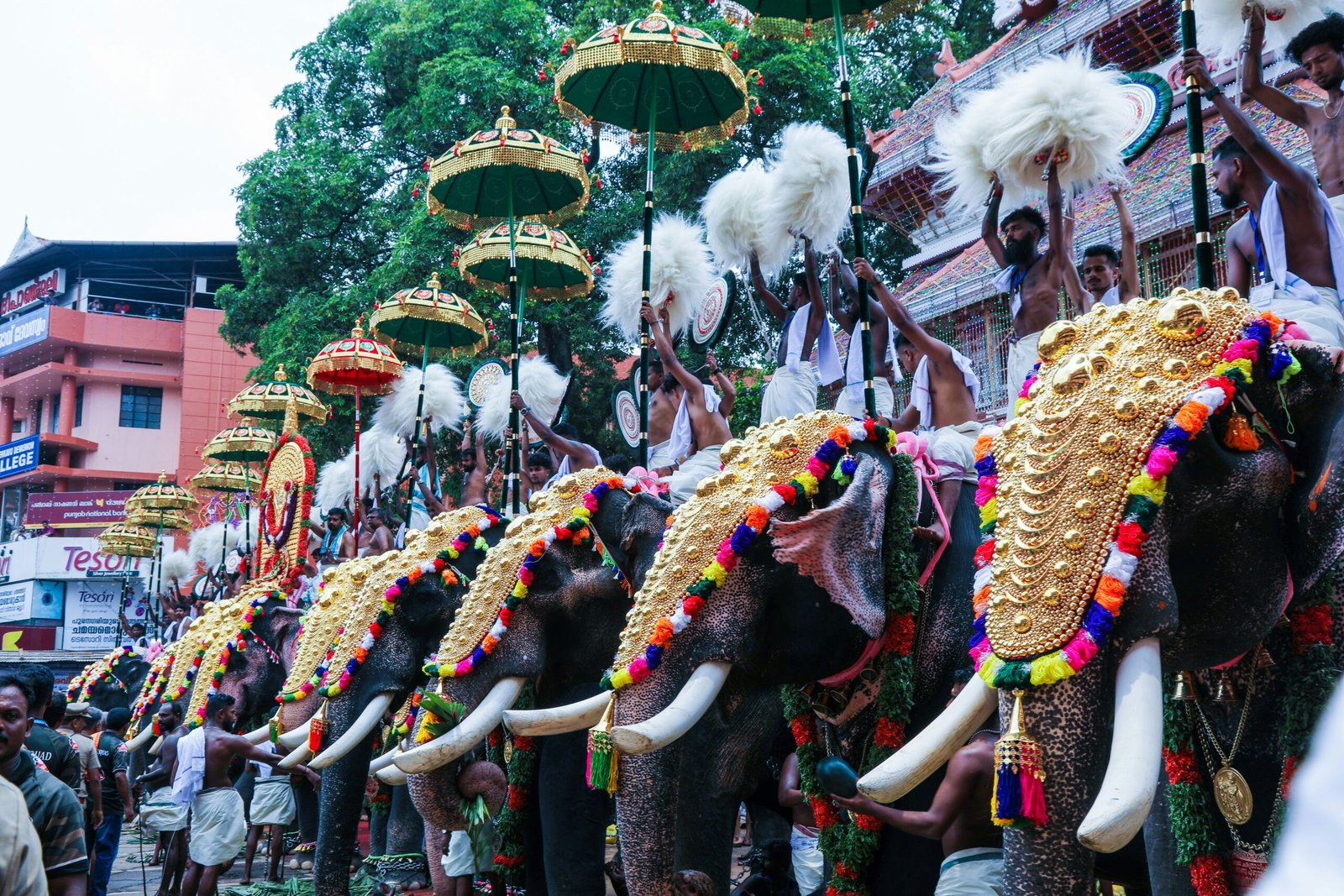 Decorated elephants at a Kerala temple festival, capturing the vibrant ceremonial spirit surrounding autumn retreats in India