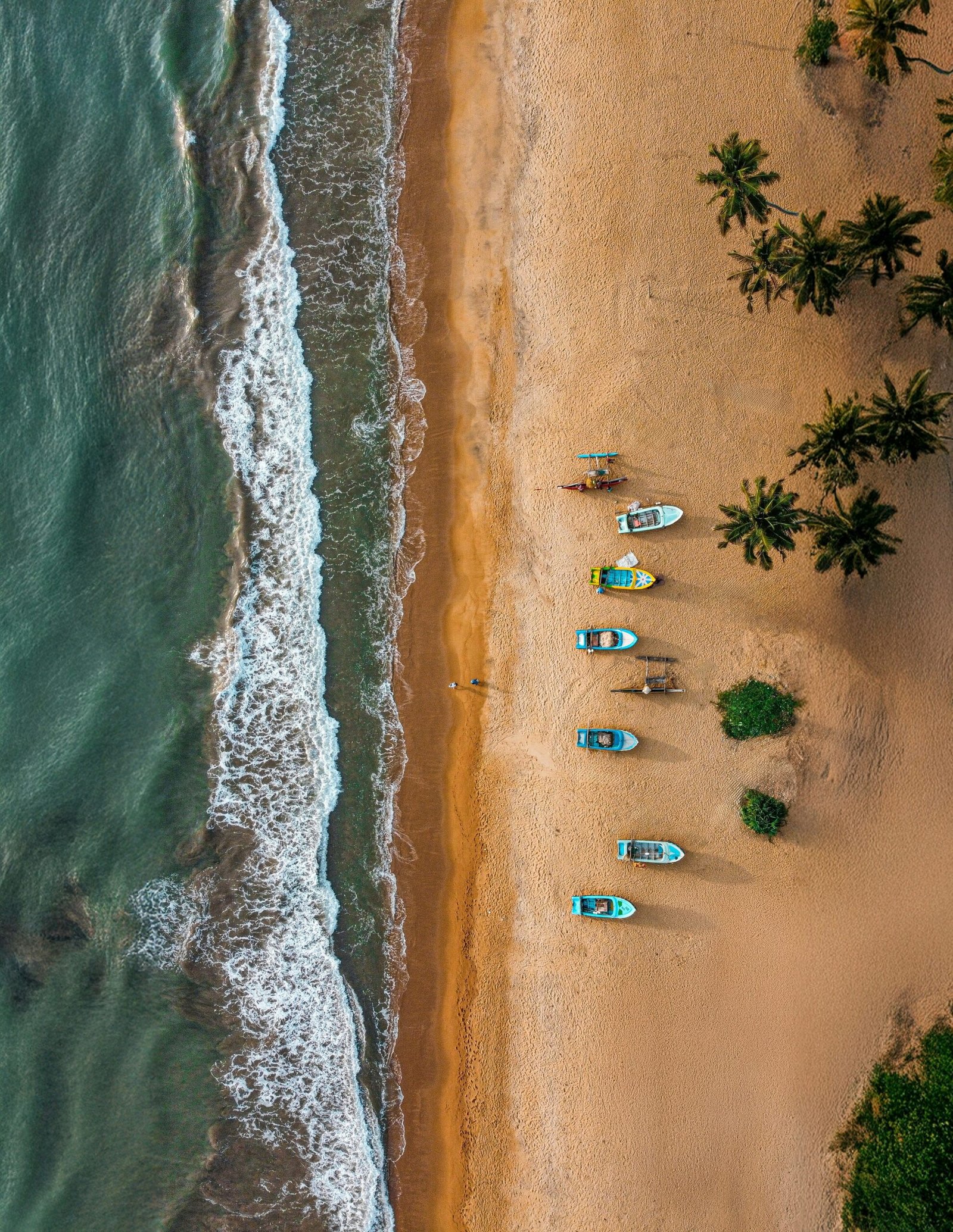 Boats lined along Wadduwa Beach beneath coconut palms, capturing the grounded coastal atmosphere of an ayurveda retreat in Sri Lanka.