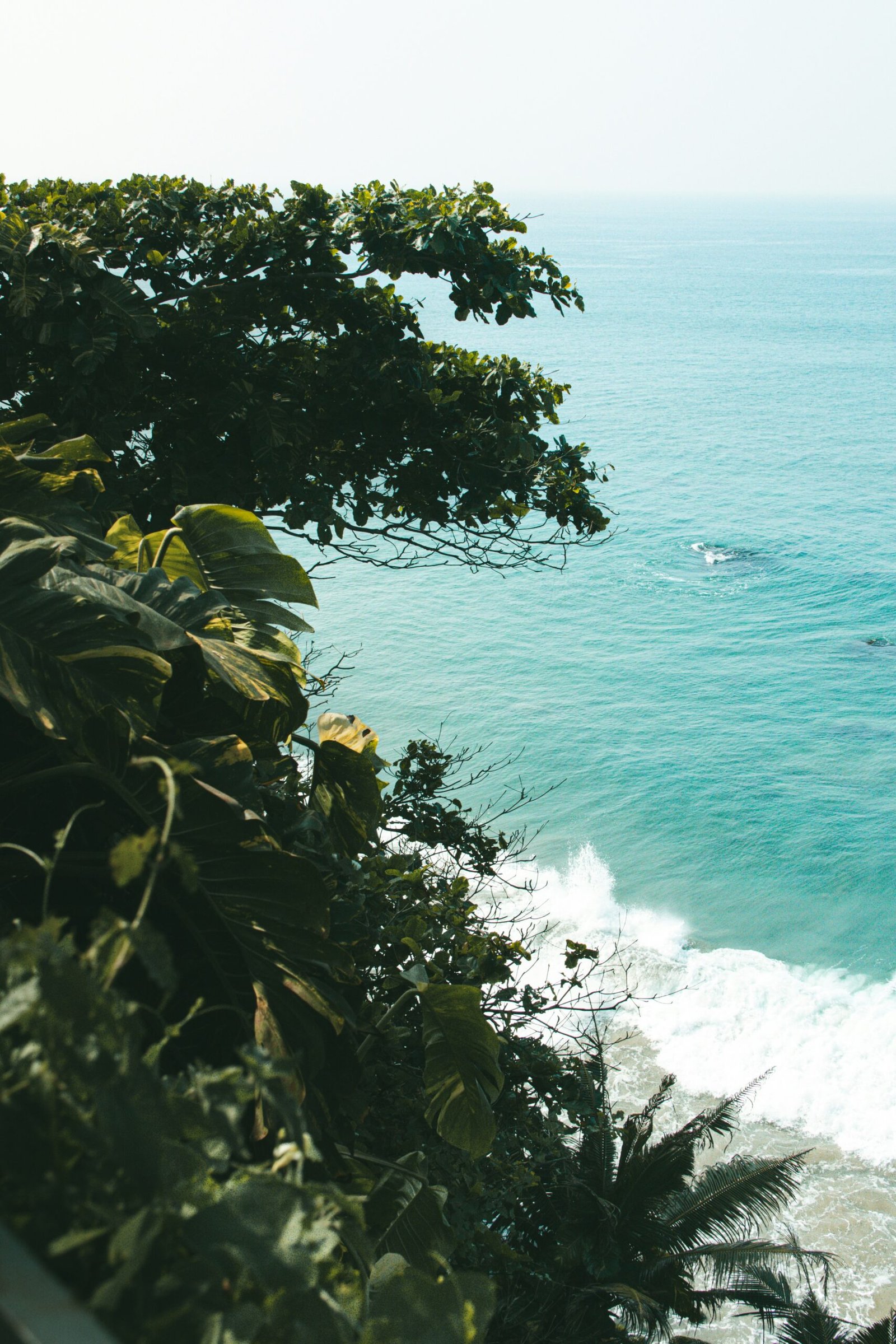 Tropical coastal landscape near a retreat, with green cliffs and turquoise sea creating a restorative escape
