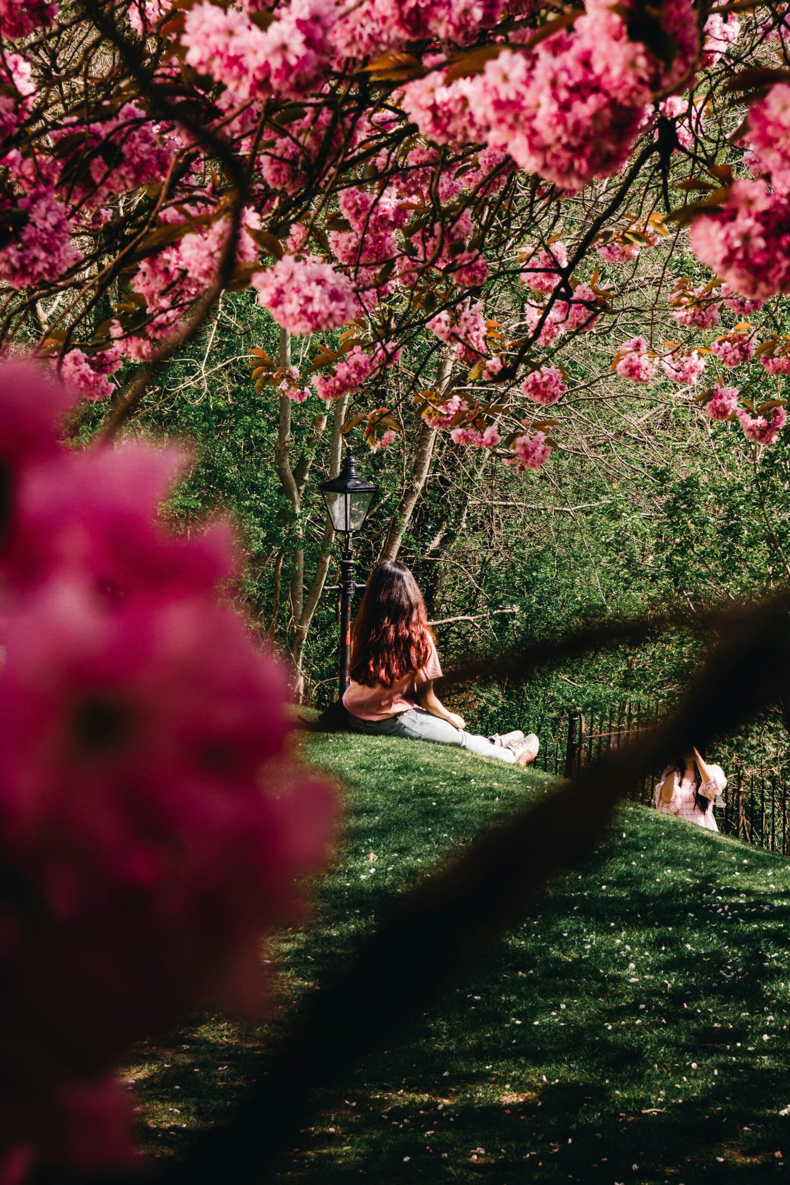yoga retreats in spring