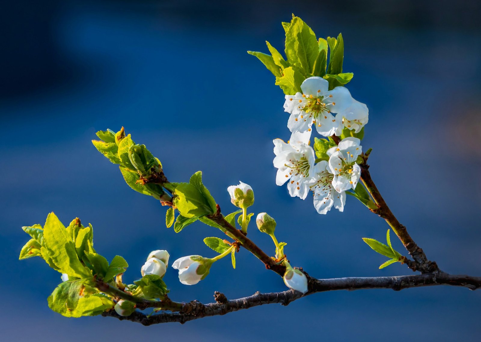 wellness retreats in italy in april