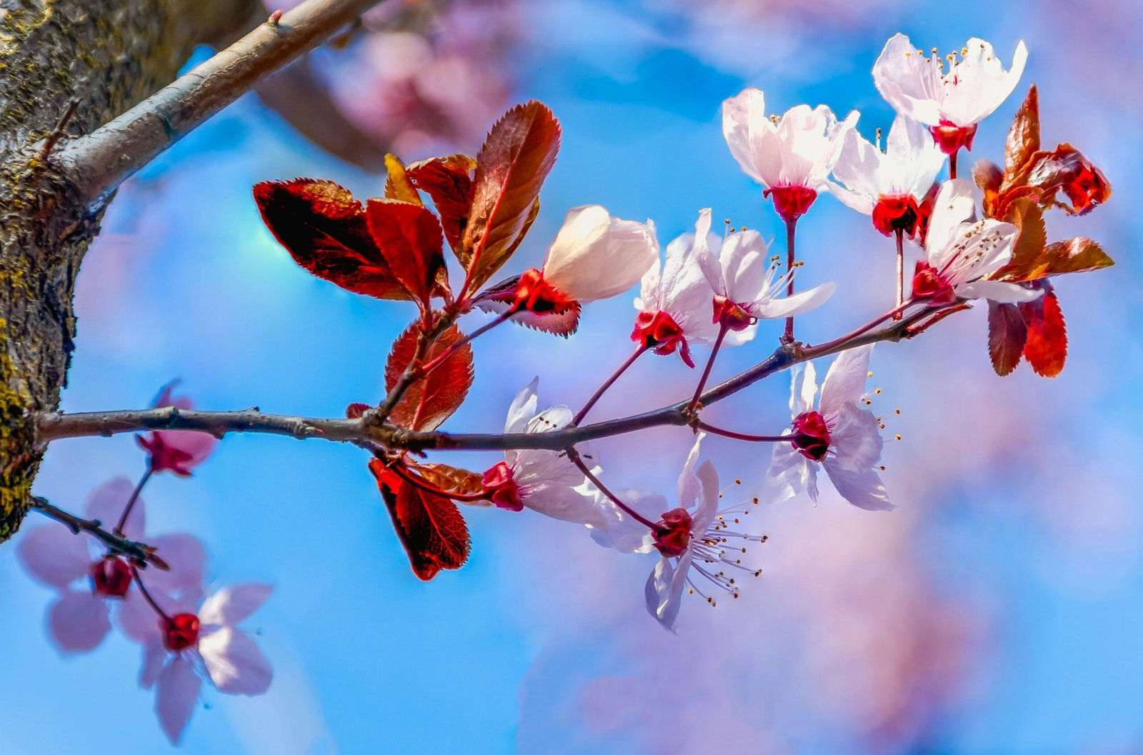 wellness retreats in italy in may