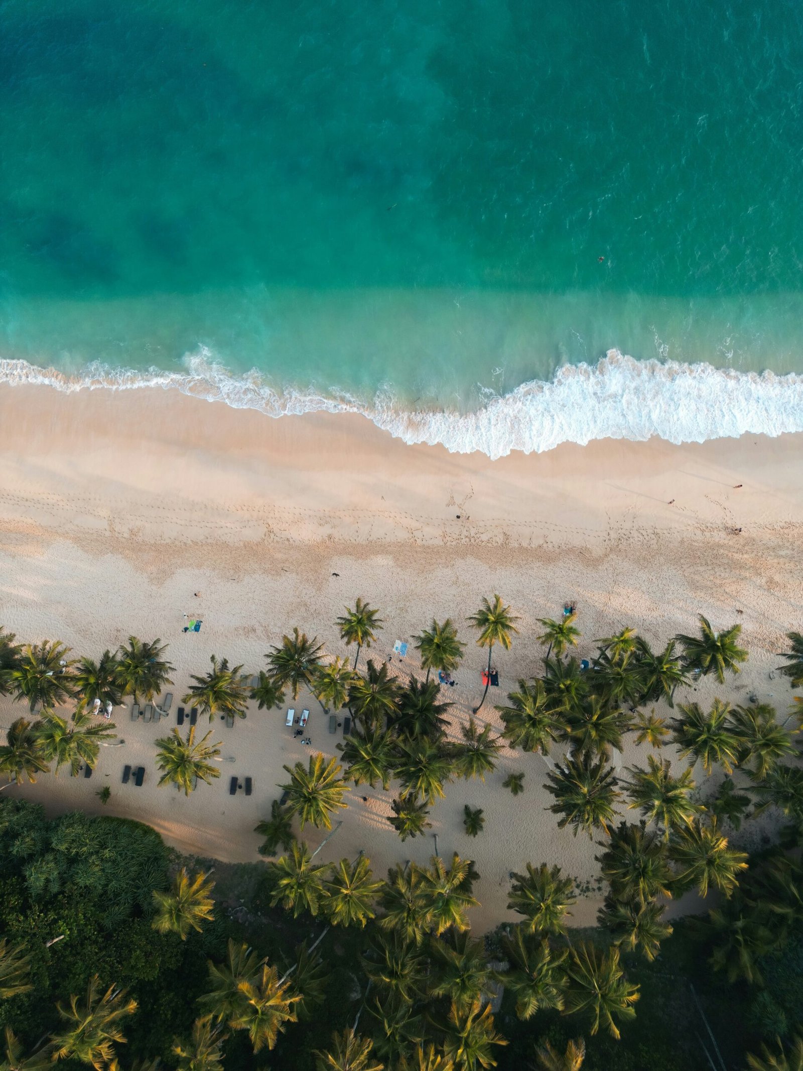 Aerial view of Silent Beach in Tangalle with palms, surf, and open coastline.
