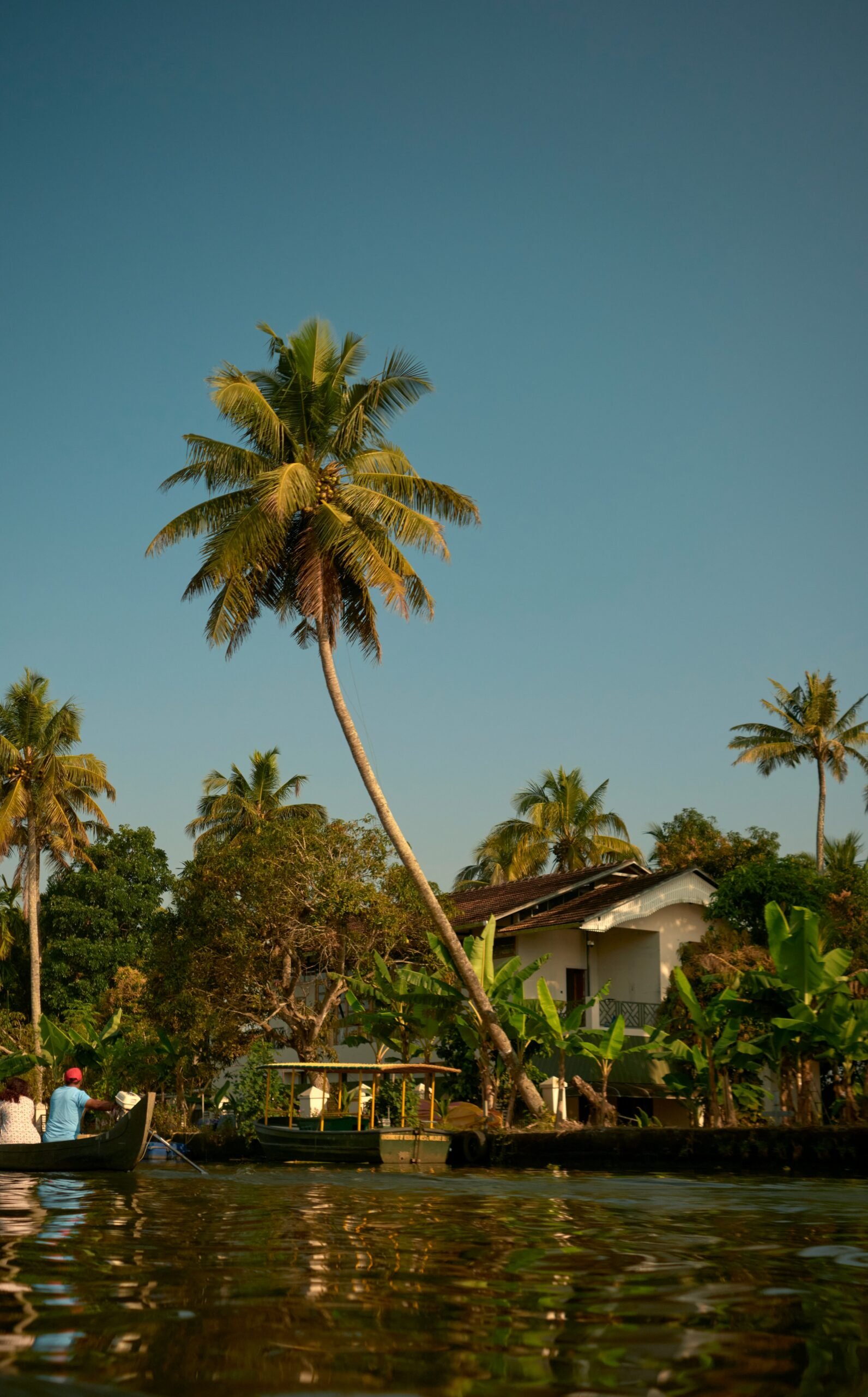 Quiet canal scene in Alleppey with palm trees and traditional Kerala village surroundings