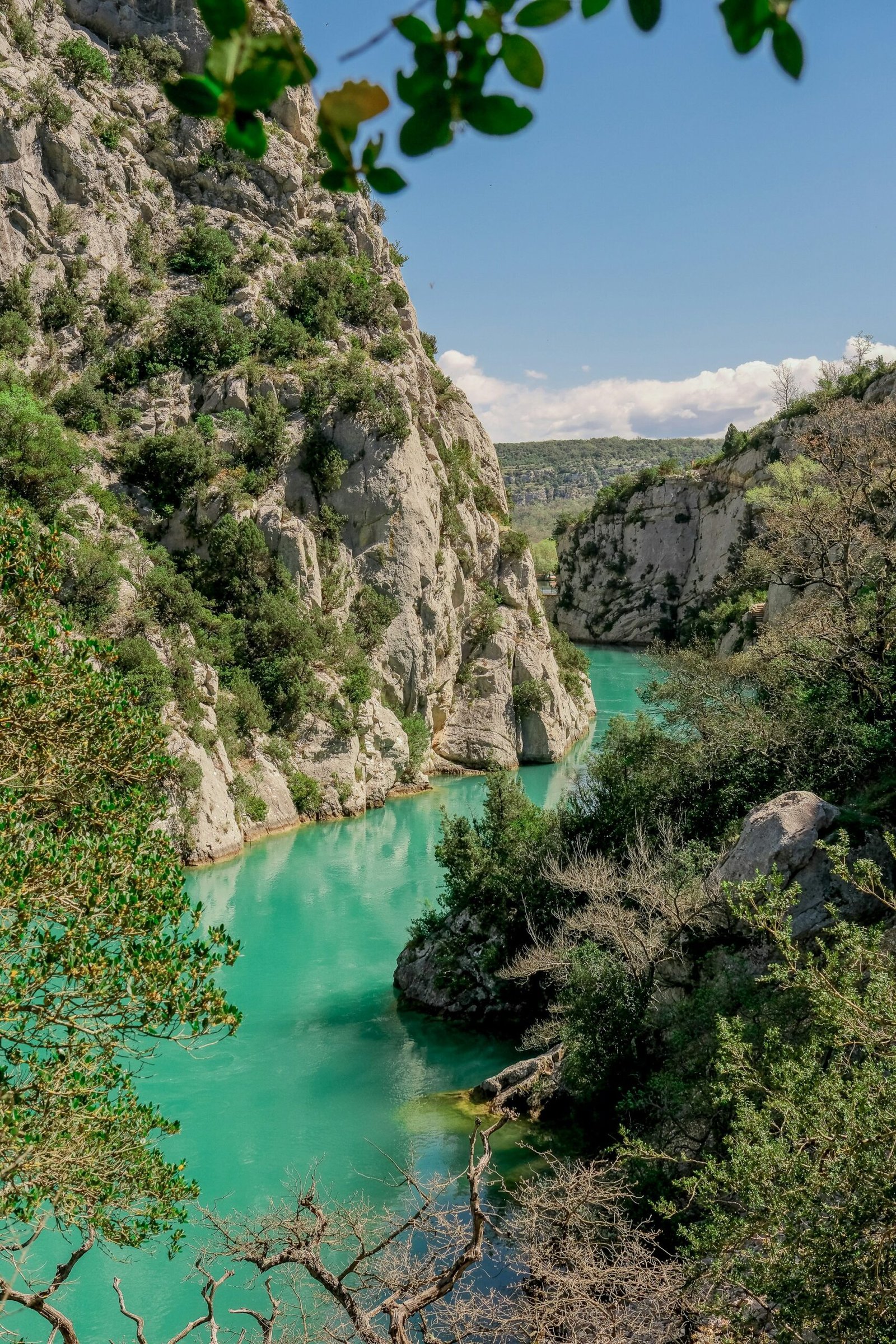 Green river valley in Verdon Gorge, suited to a scenic and energizing summer yoga retreat in France.