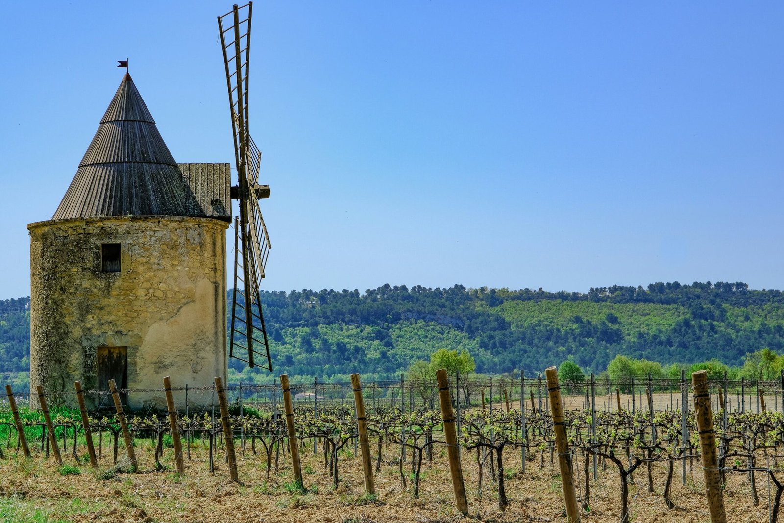 Windmill above vineyards in Aix-en-Provence, creating a serene countryside setting for a September yoga retreat in France