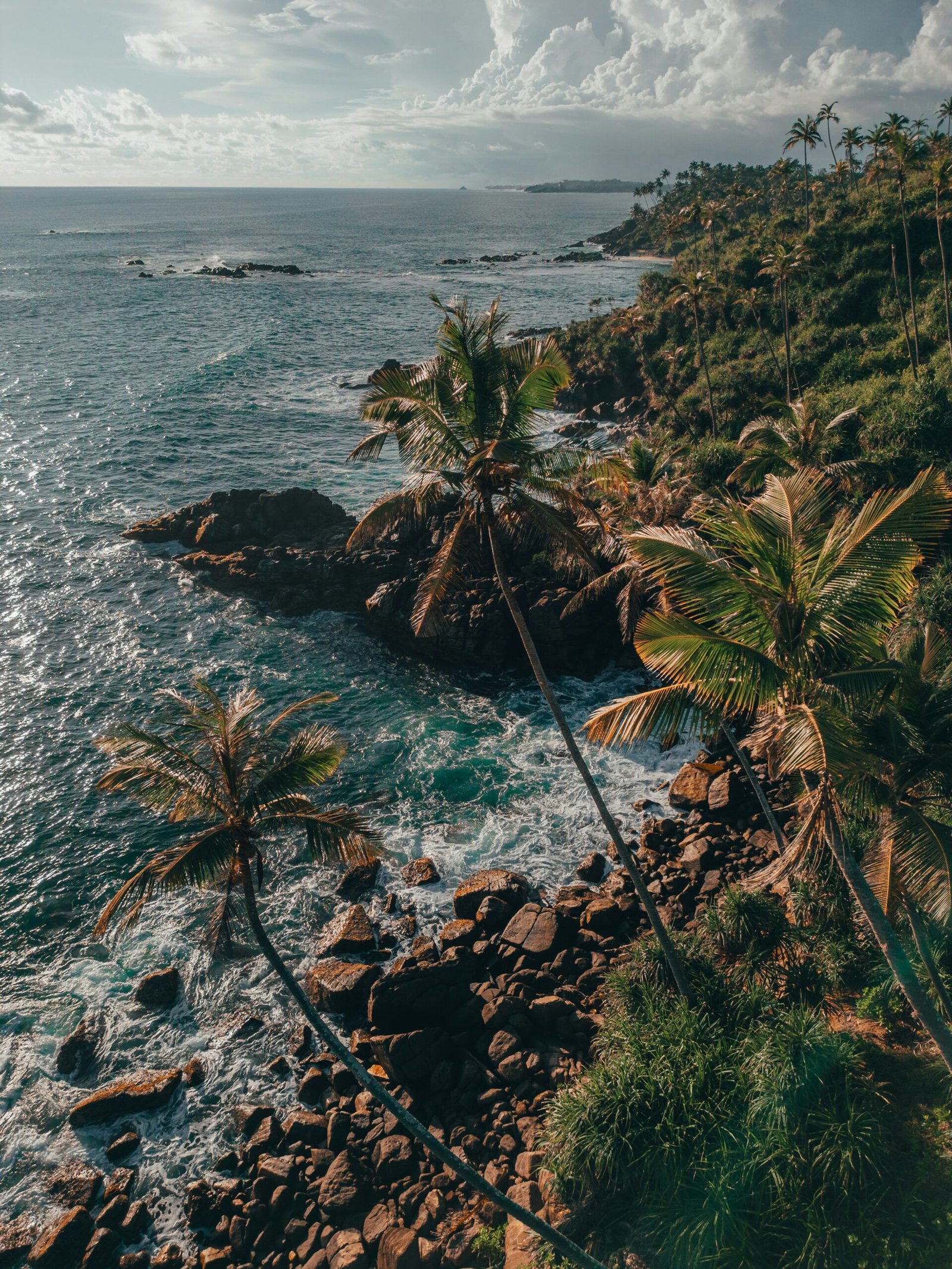 Palm-lined shoreline at Mirissa Beach with calm blue water on Sri Lanka’s south coast.