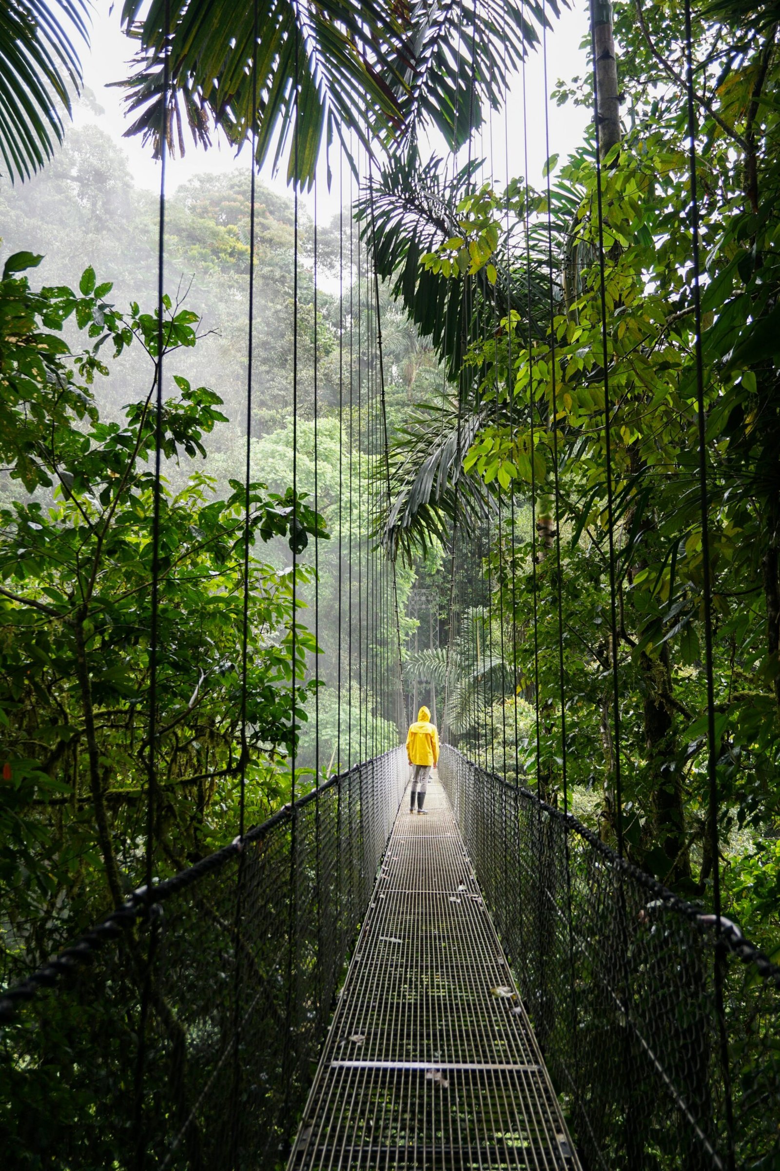 Person in a yellow jacket crossing a hanging bridge in the cloud forest near La Fortuna, Costa Rica.