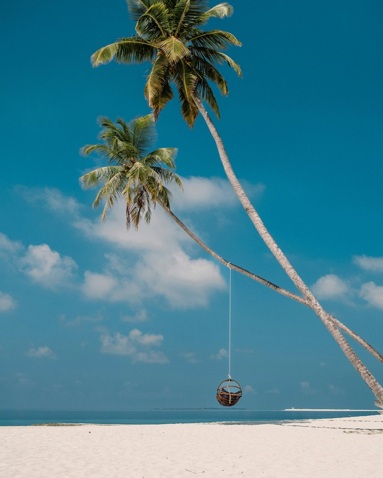 Sunny Phuket beach with palm trees and a lively December holiday atmosphere