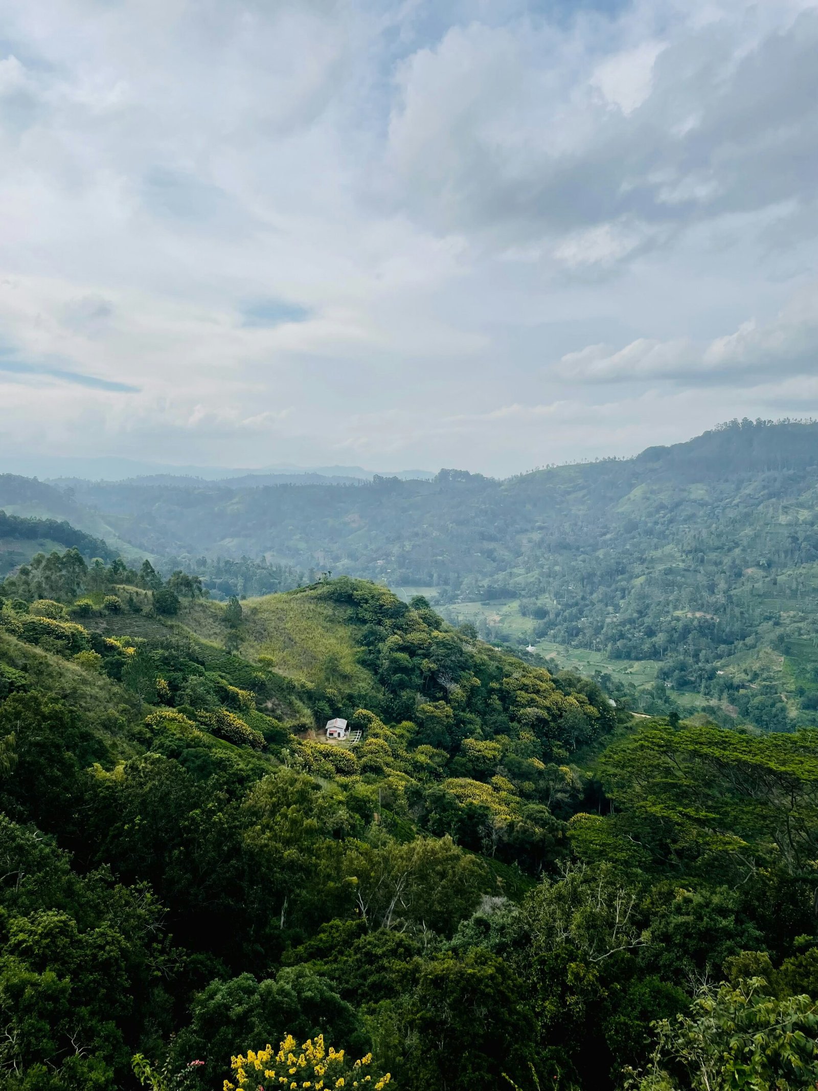 Cloudy green hills in Ella, Sri Lanka, matching the calm and adaptable mood of a retreat during October’s seasonal shift.