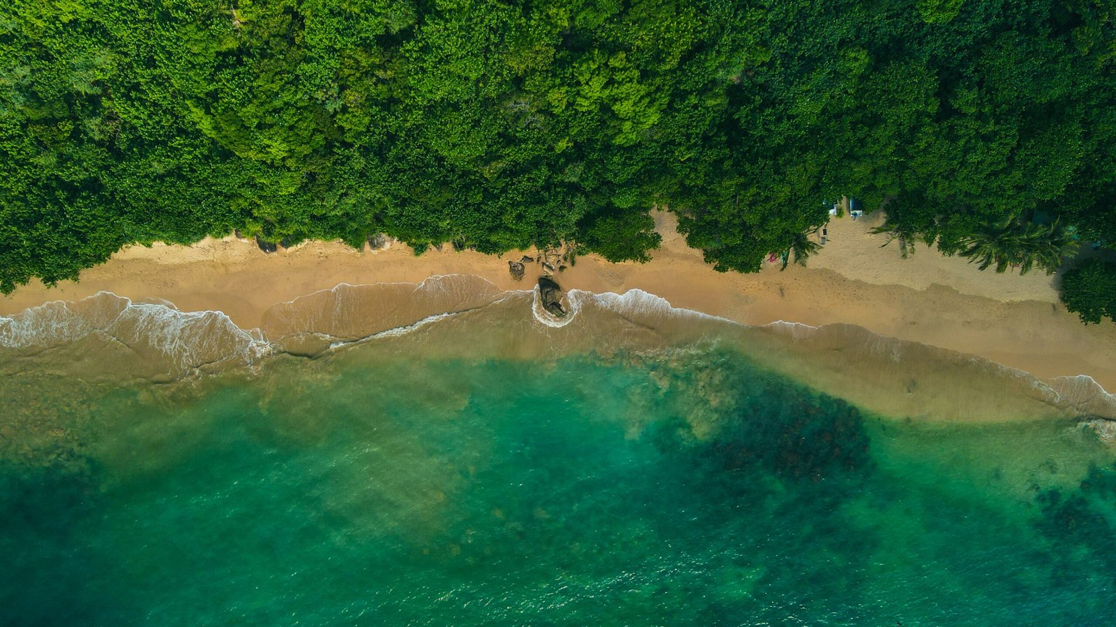 Aerial coastline at Rumassala with blue water and lush greenery matching the fresh seasonal feel of an ayurveda retreat.