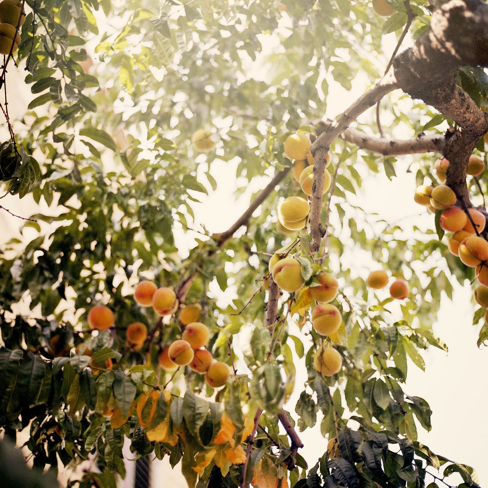 spring wellness retreats in italy