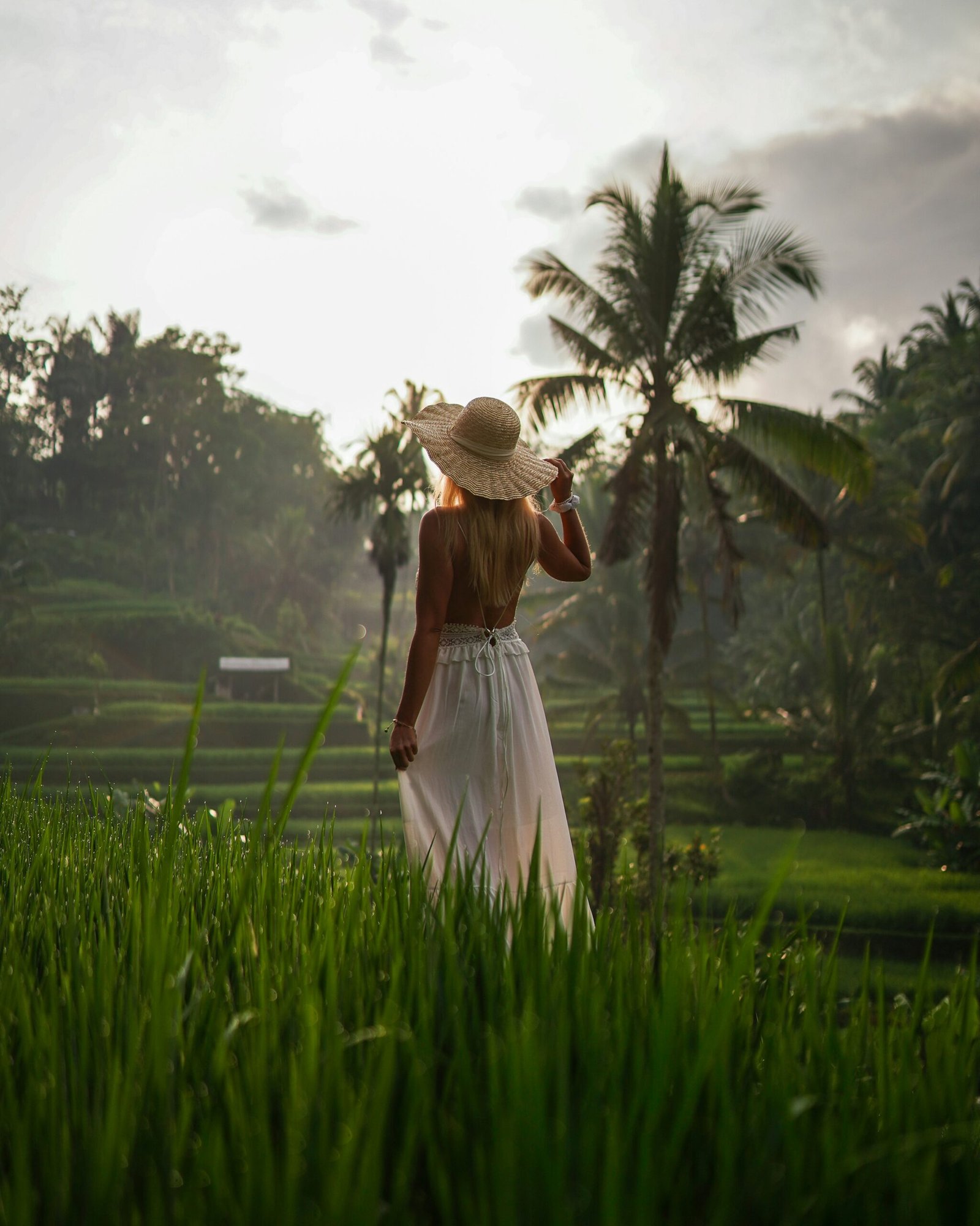 woman practicing yoga above bali rice fields during a peaceful spring retreat
