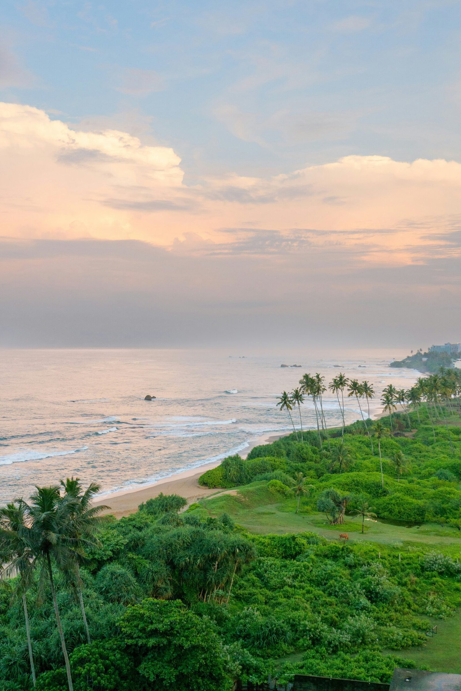 Peaceful ocean horizon at sunrise creating a serene retreat setting for reflection, rest, and gentle renewal