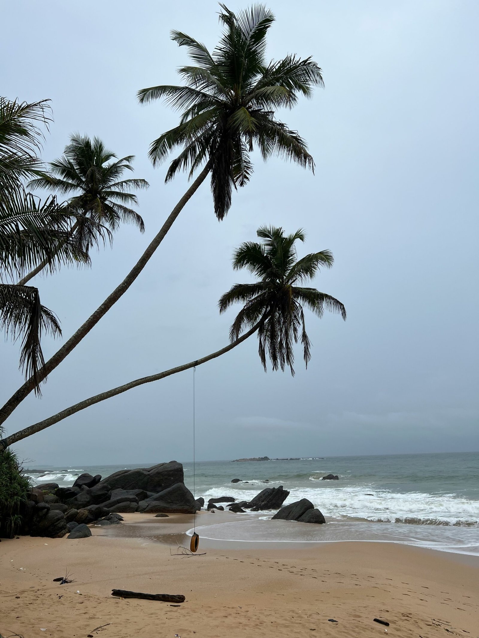 Palm-lined shoreline in Balapitiya, Sri Lanka, reflecting the calm and reflective atmosphere of a yoga retreat in March.