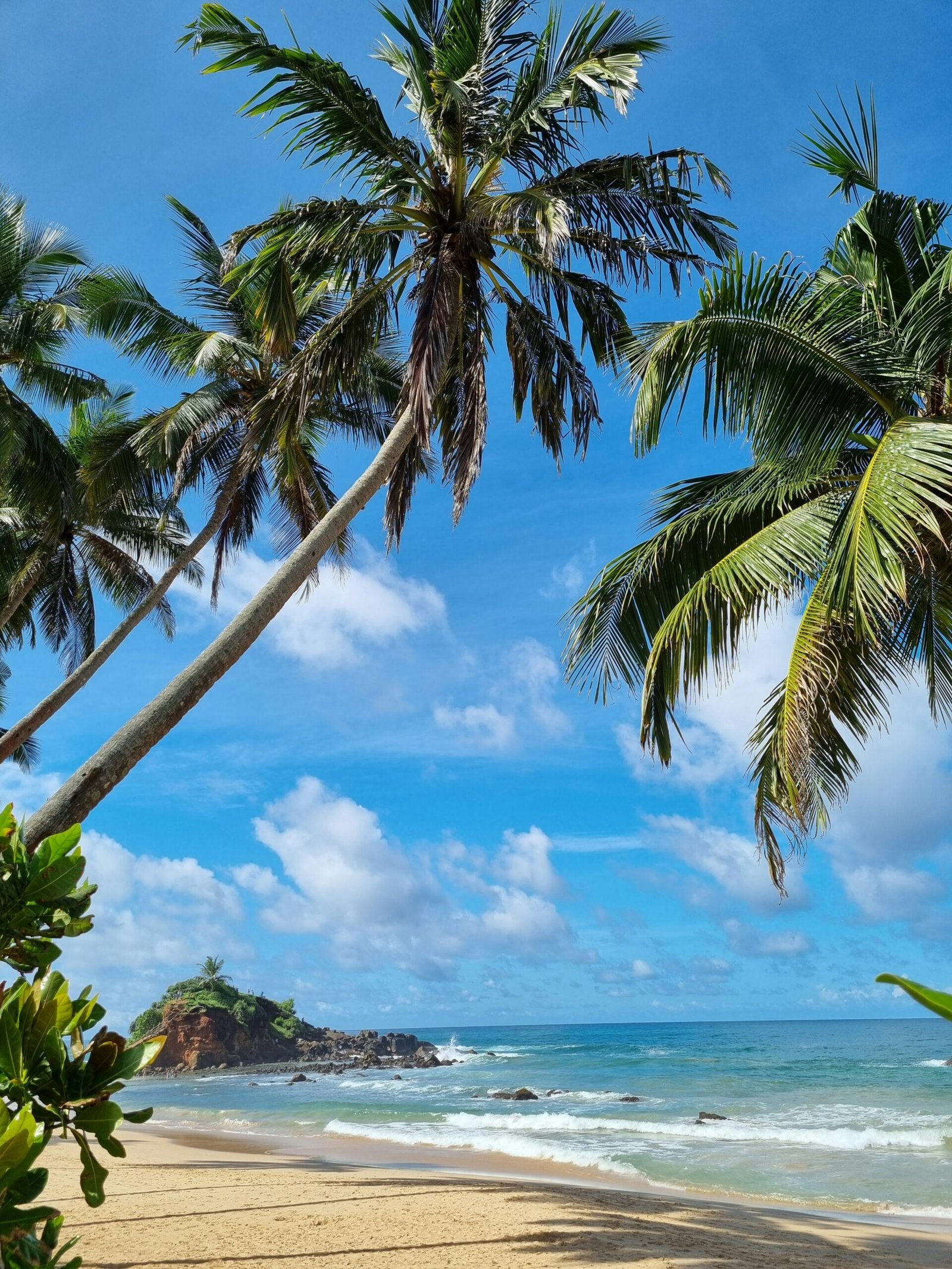 Palm-lined Sri Lanka coastline, matching the spacious and restorative mood of a tropical yoga retreat.