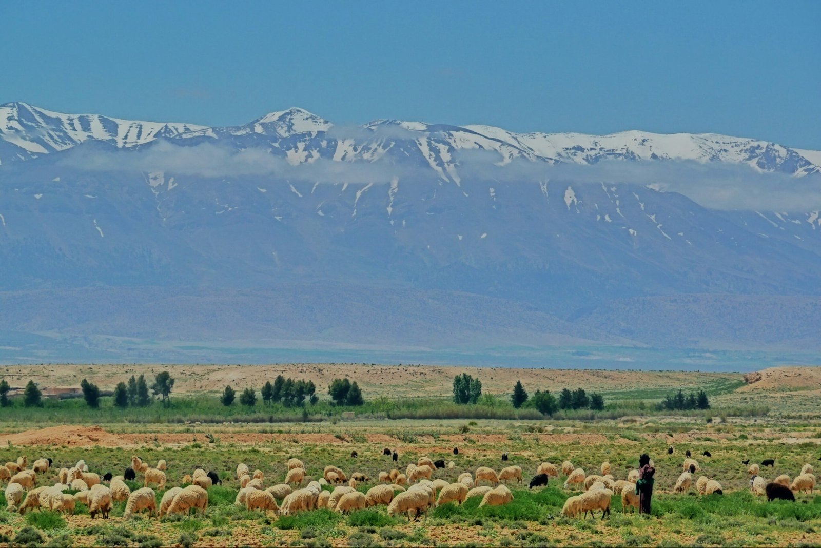 atlas mountains in spring