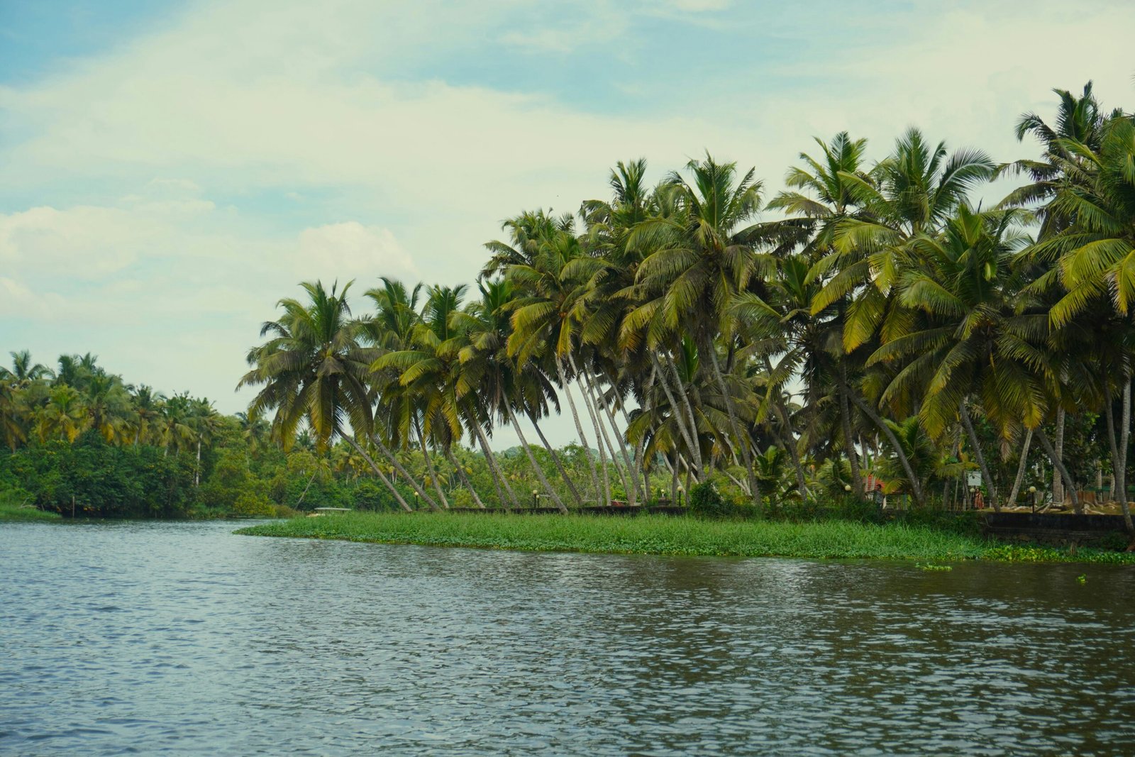 Palm-lined Poovar backwaters in Kerala, creating a quiet monsoon setting for an Ayurveda retreat in June.