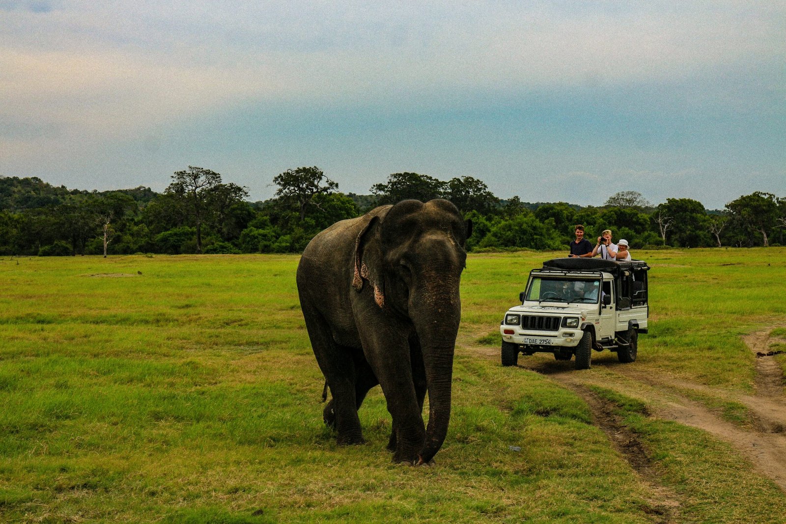 Safari vehicle beside an elephant in Sri Lanka, adding a grounded wildlife and nature-connection element to a retreat journey.