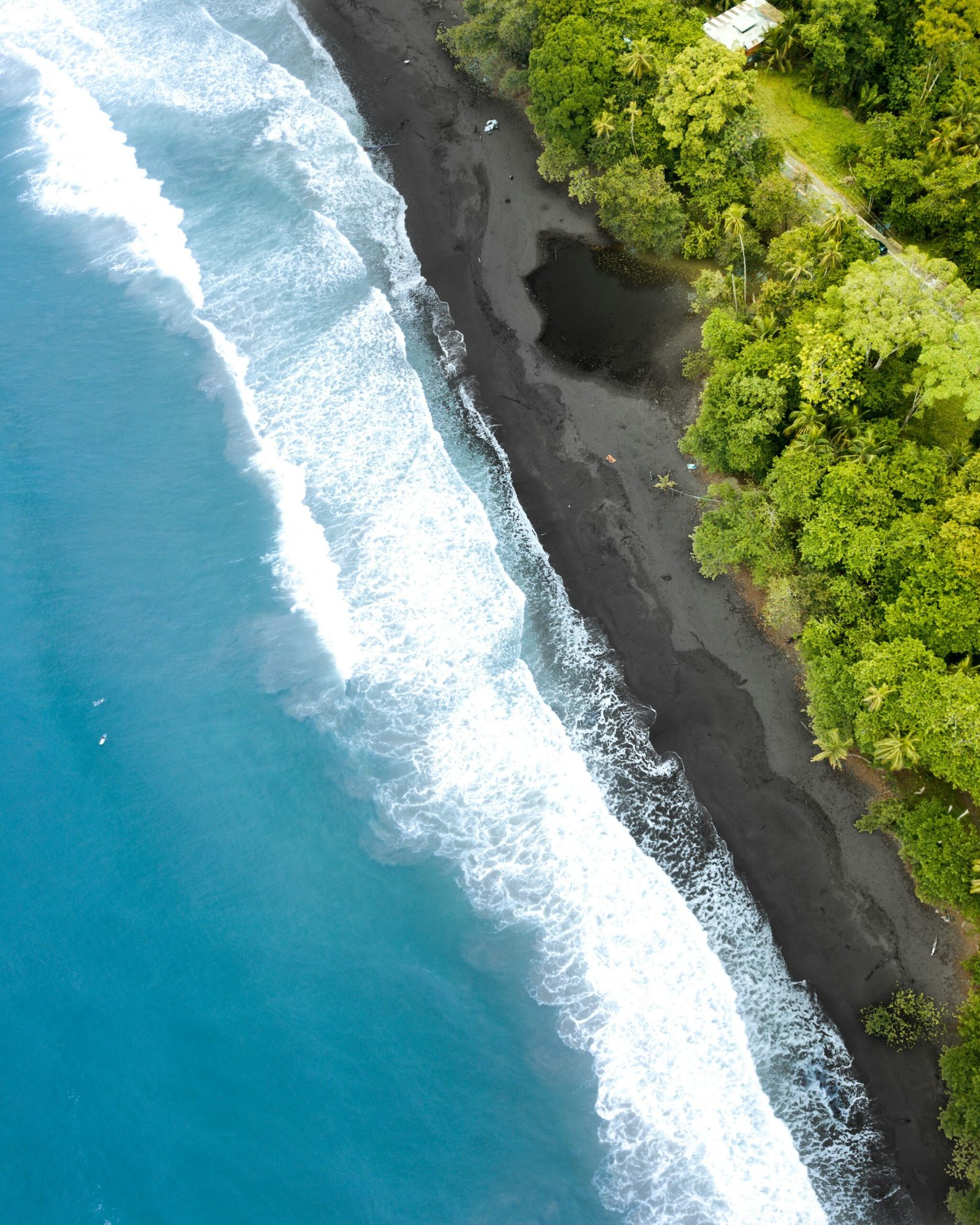 Aerial view of the Caribbean shoreline near Puerto Viejo de Talamanca, Costa Rica