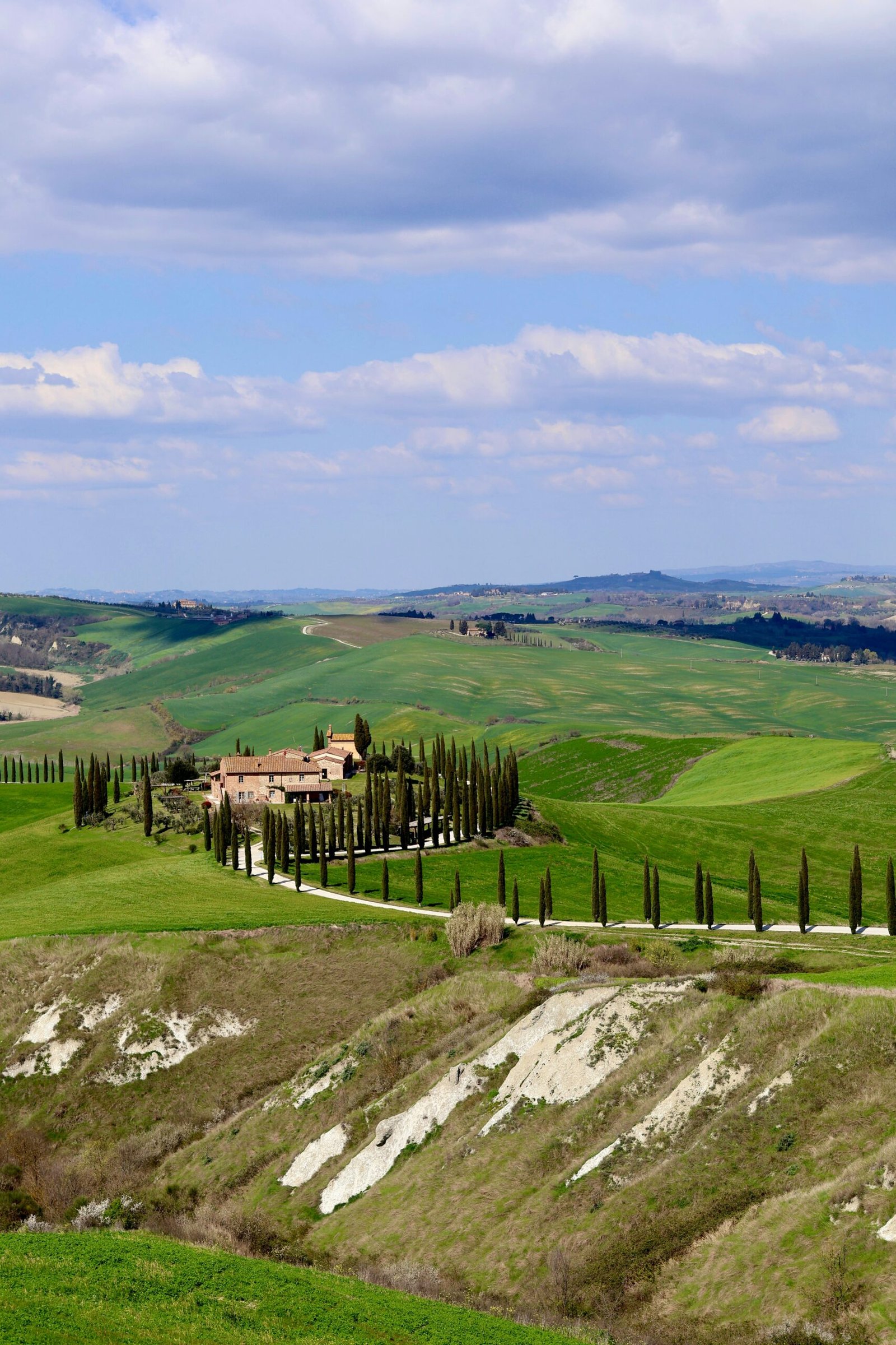 Winding road through Tuscan hills lined with cypress trees and green spring fields.