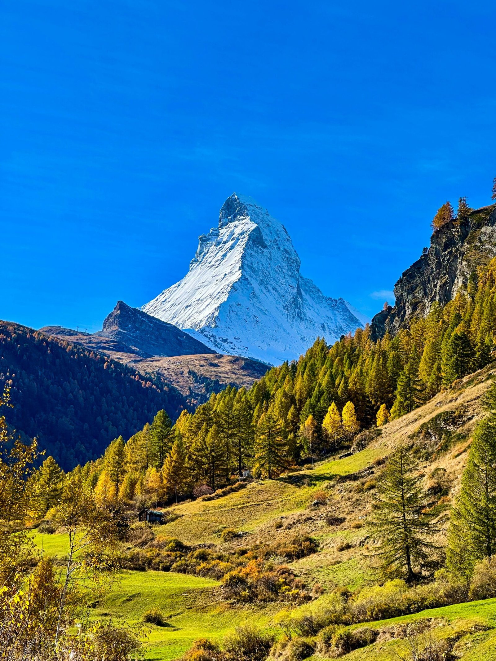 Forest-framed mountain range, matching the cool and spacious setting of a restorative summer Ayurveda retreat.