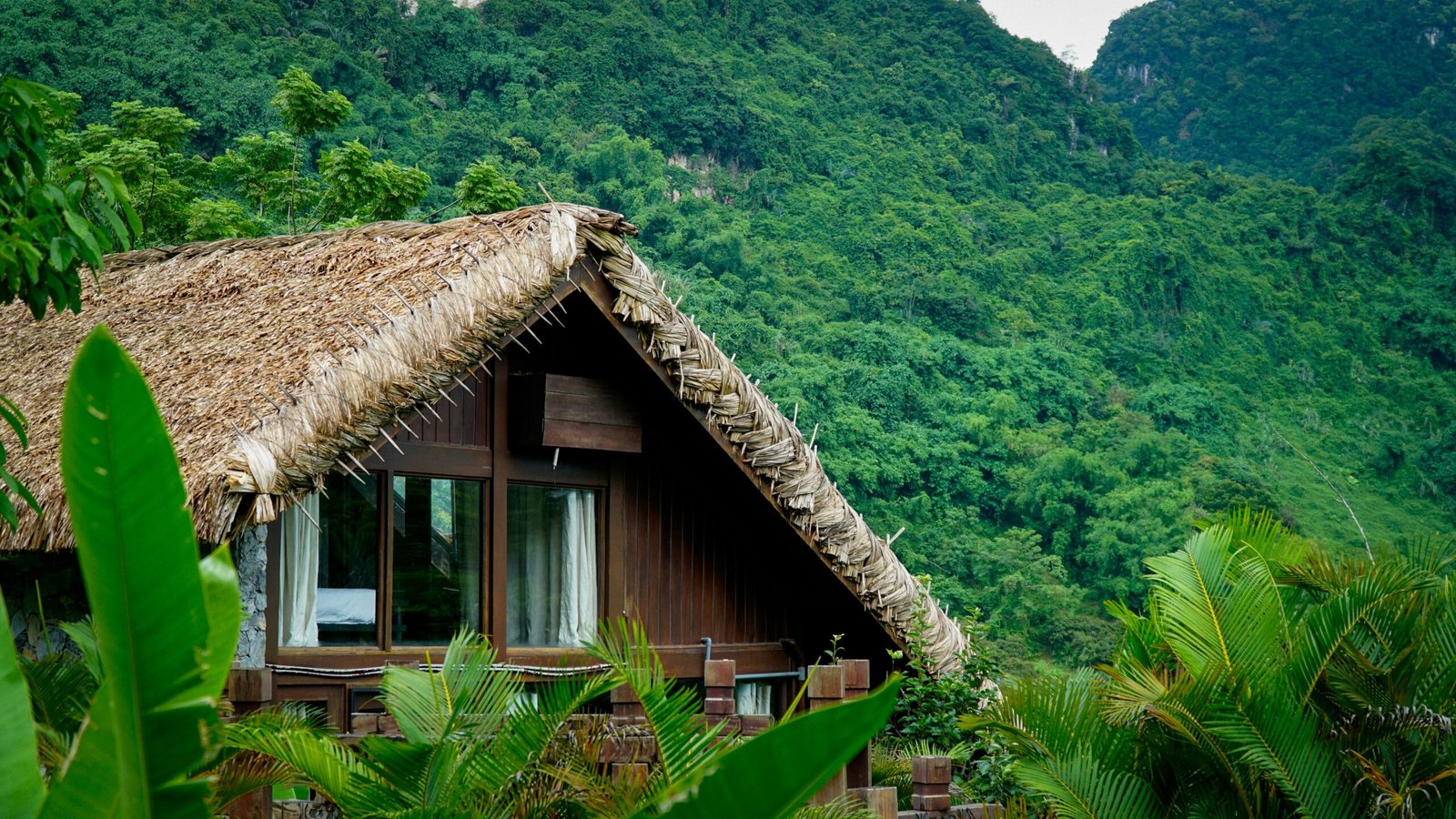 Secluded forest cabin stay for a quiet nature retreat